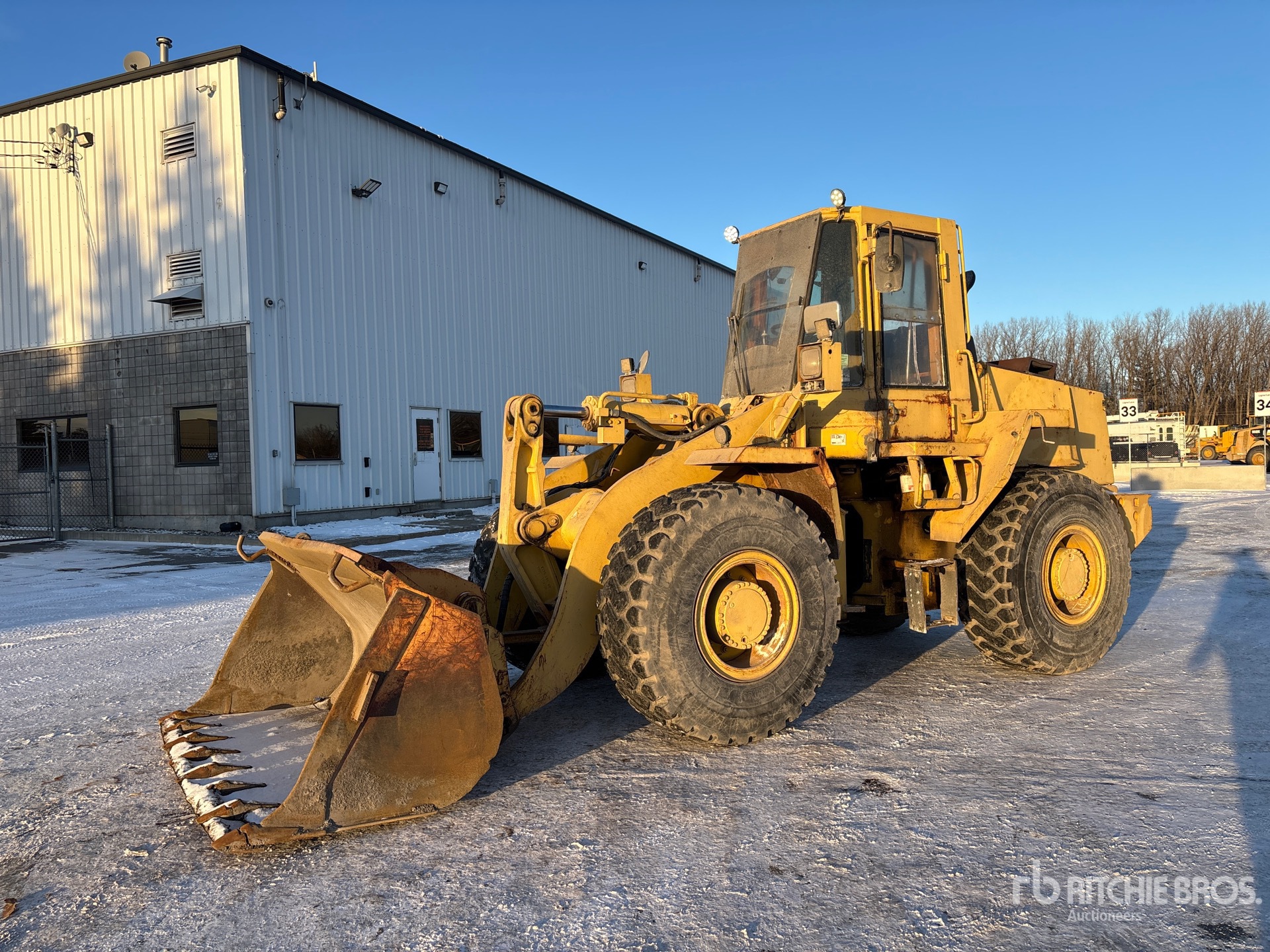 General Appearance with Spin