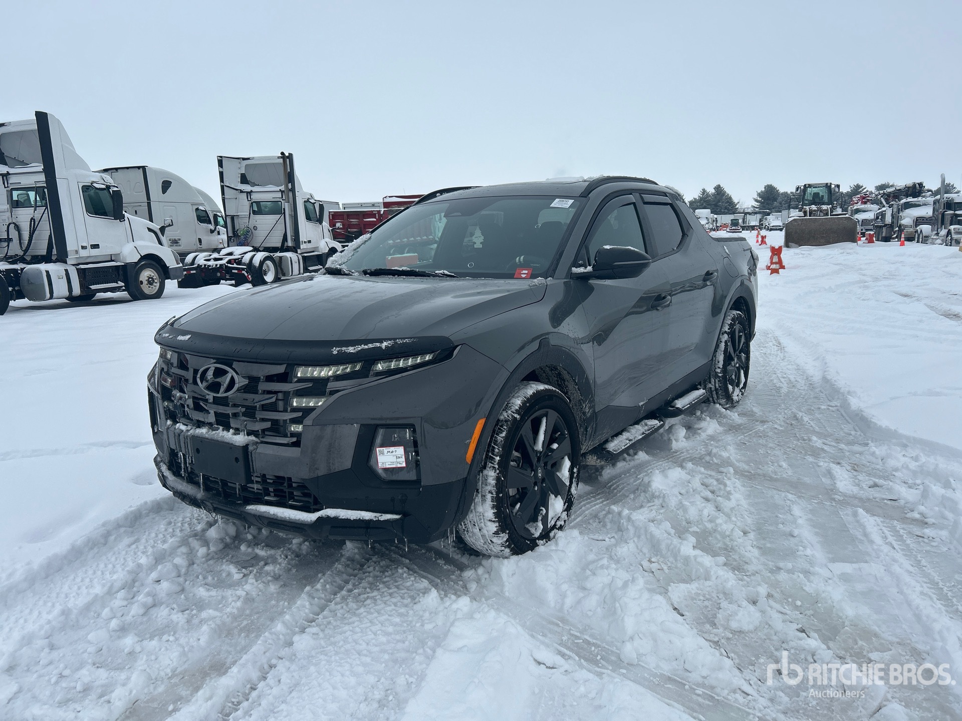 General Appearance with Spin