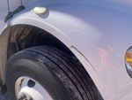 General Appearance with Pintura