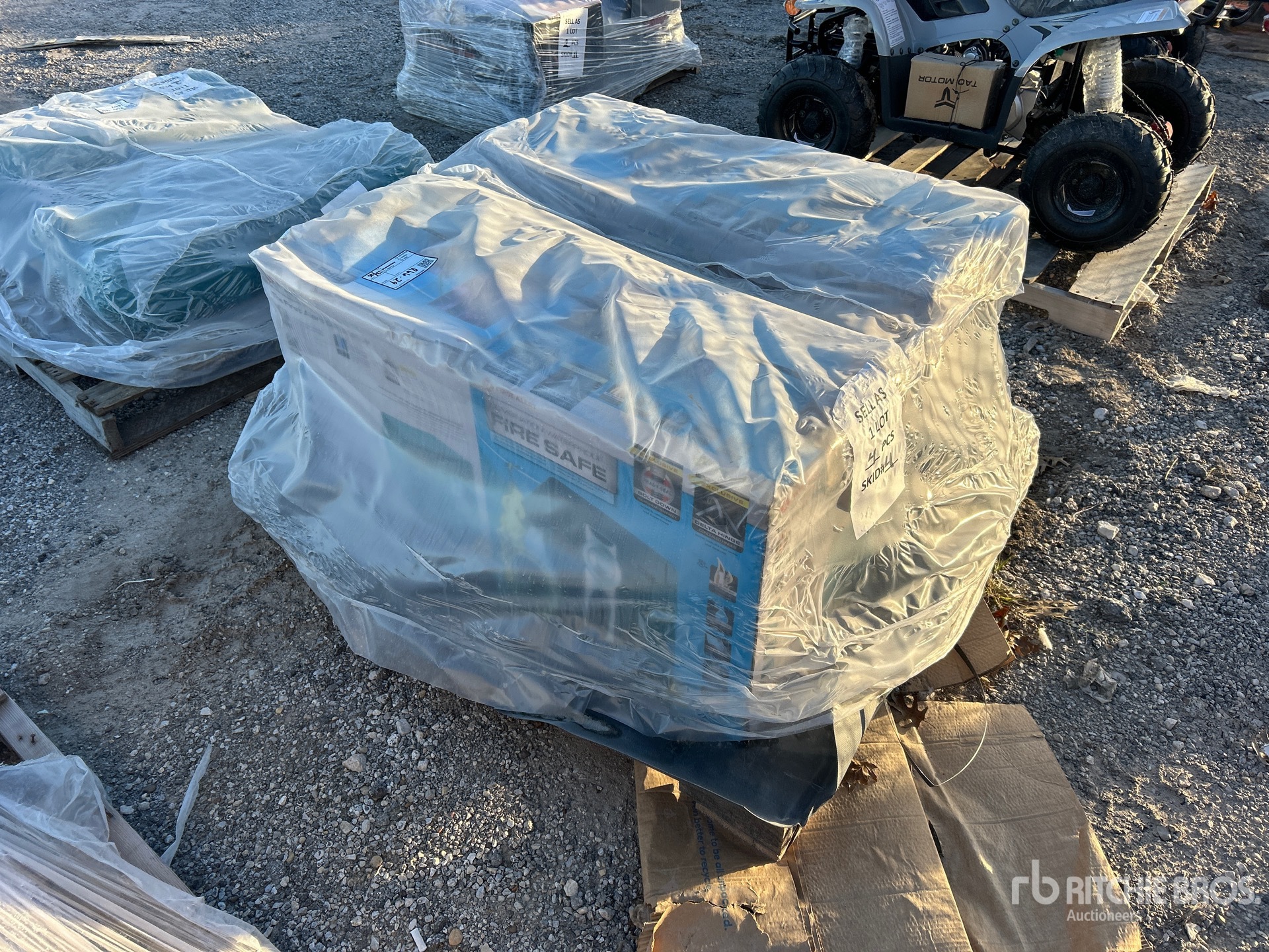 General Appearance with Picture, Left Rear Corner