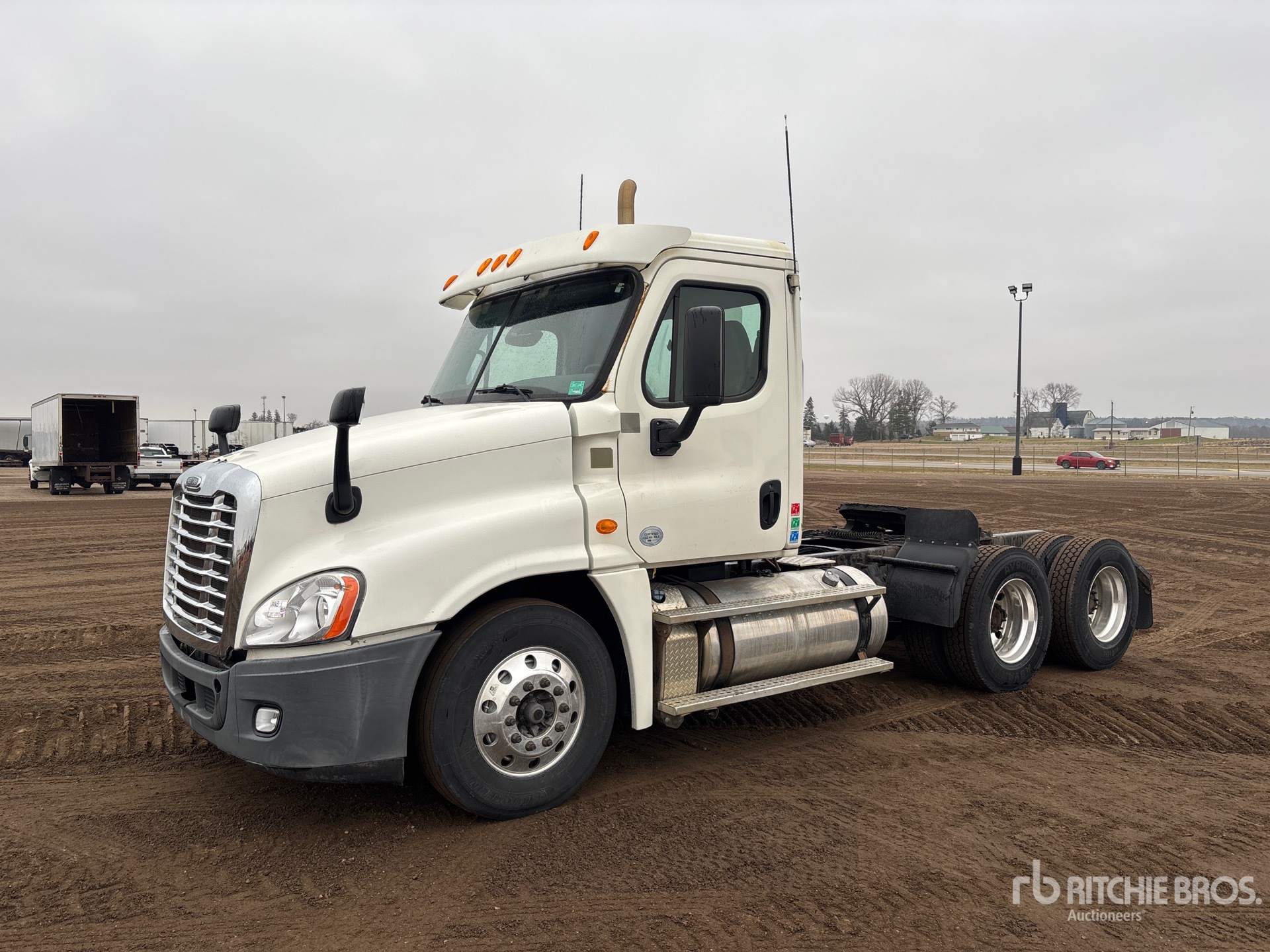 General Appearance with Spin