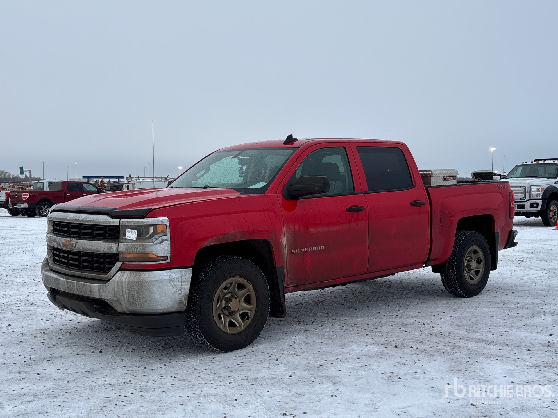 General Appearance with Spin