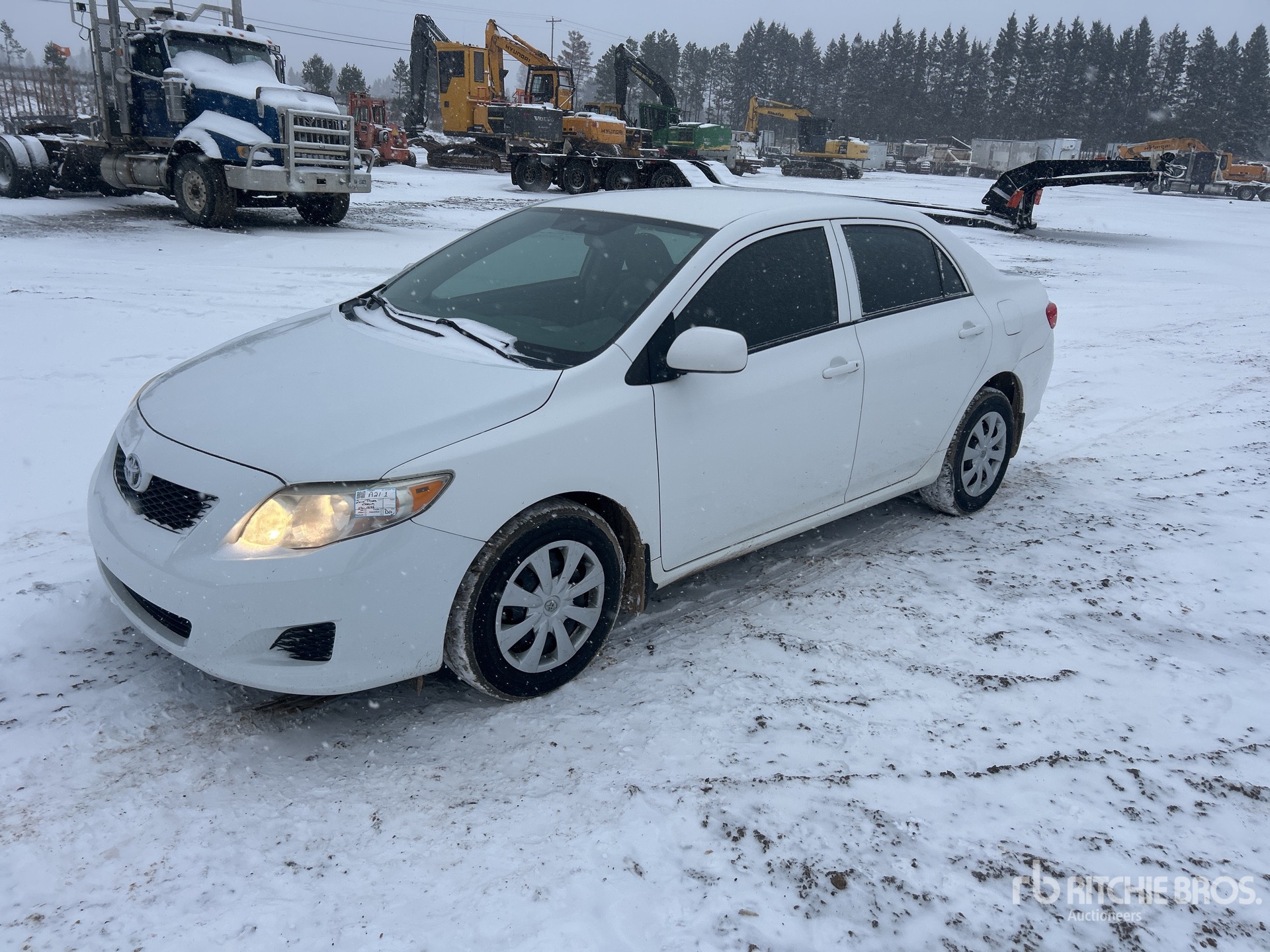 General Appearance with Spin