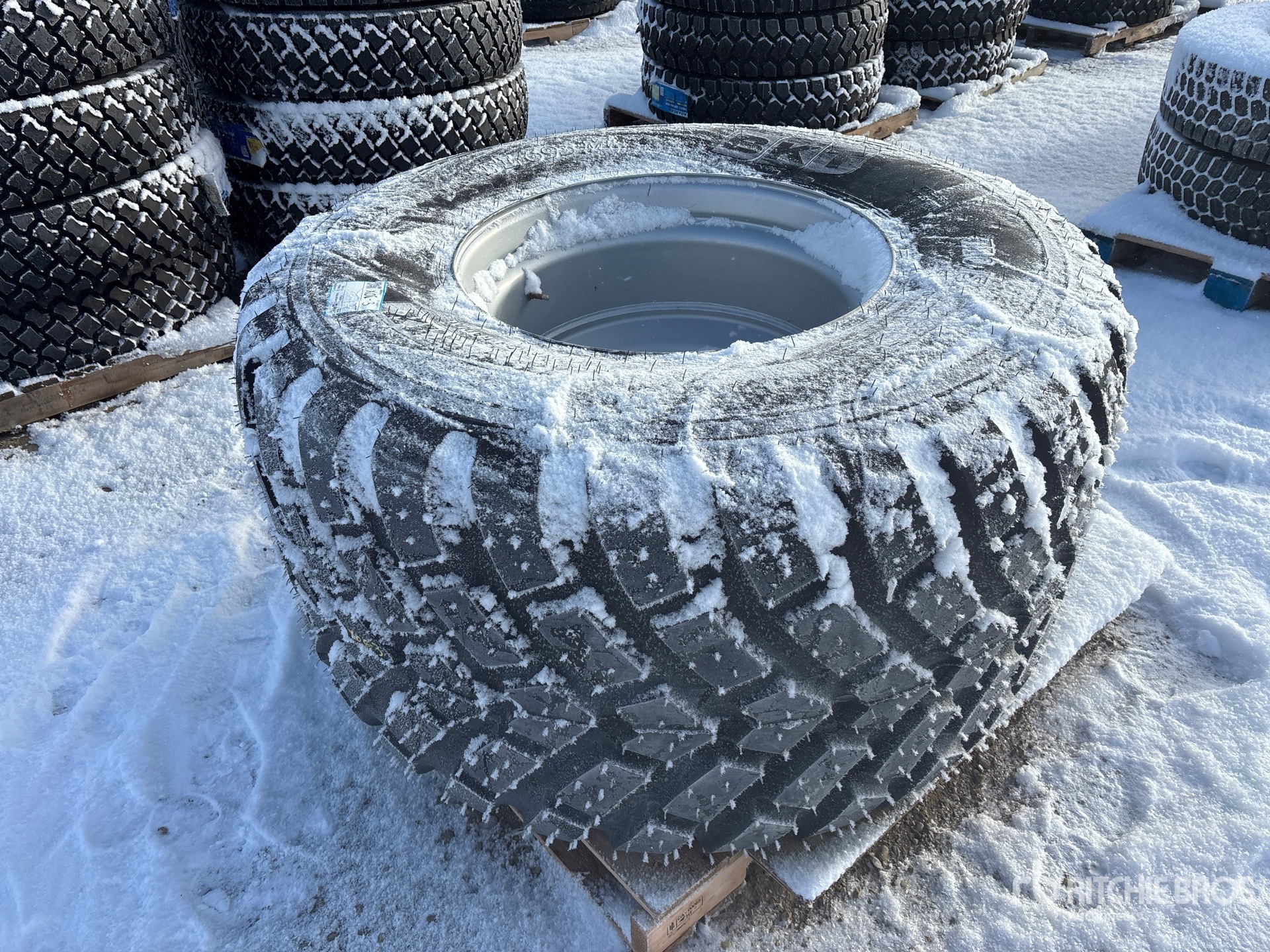 General Appearance with Imagen: esquina trasera derecha