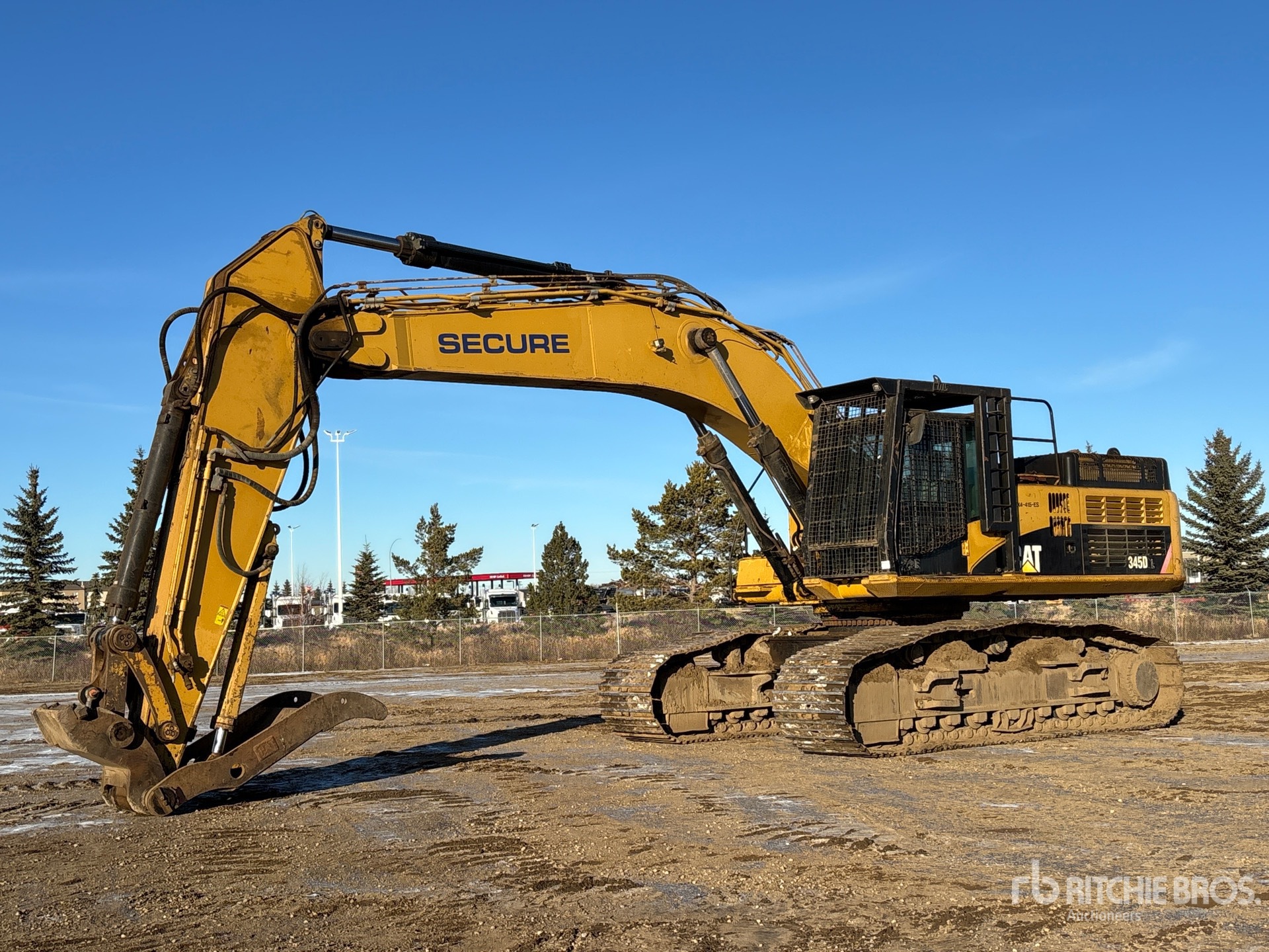 General Appearance with Spin