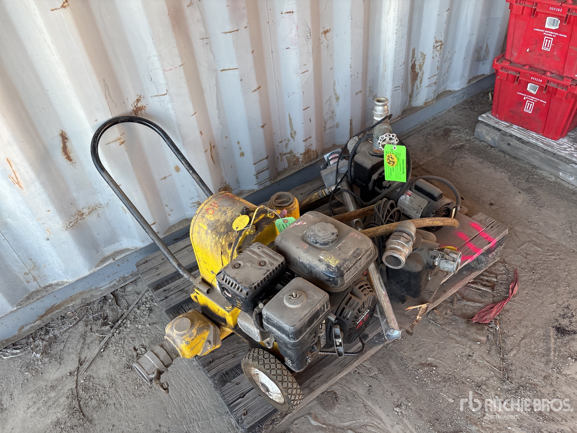 General Appearance with