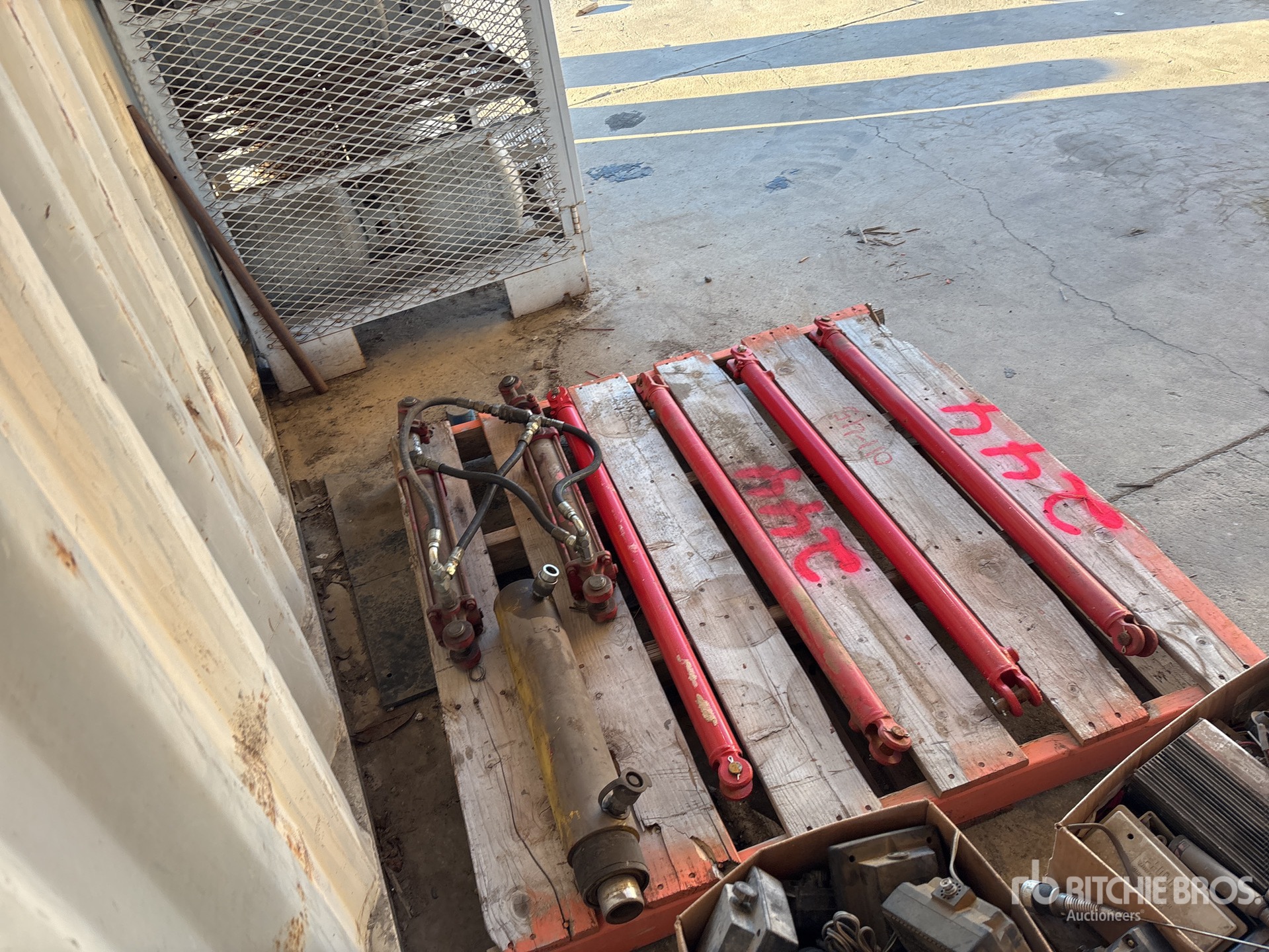 General Appearance with Zdjęcie, prawy dolny róg