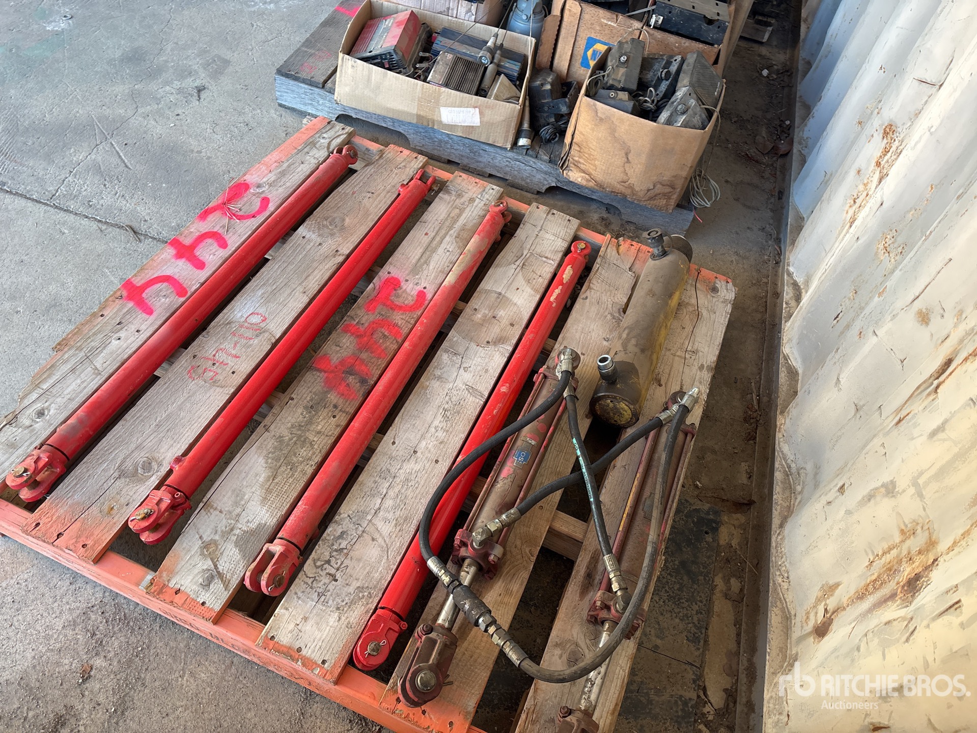 General Appearance with Zdjęcie, lewy dolny róg