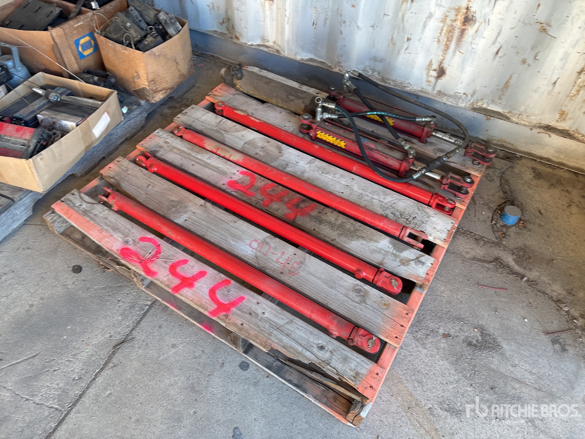 General Appearance with Zdjęcie, lewy górny róg