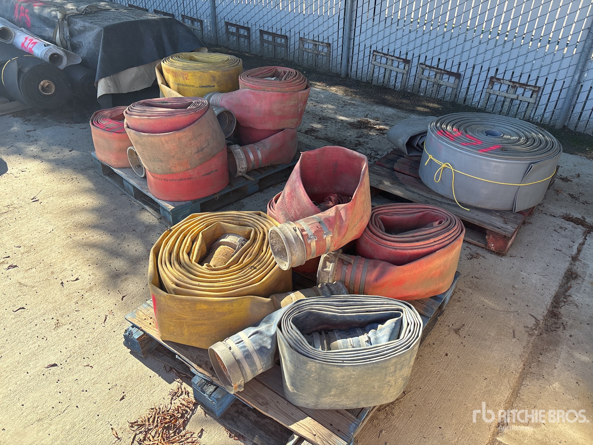 General Appearance with Bild, Ecke vorne links