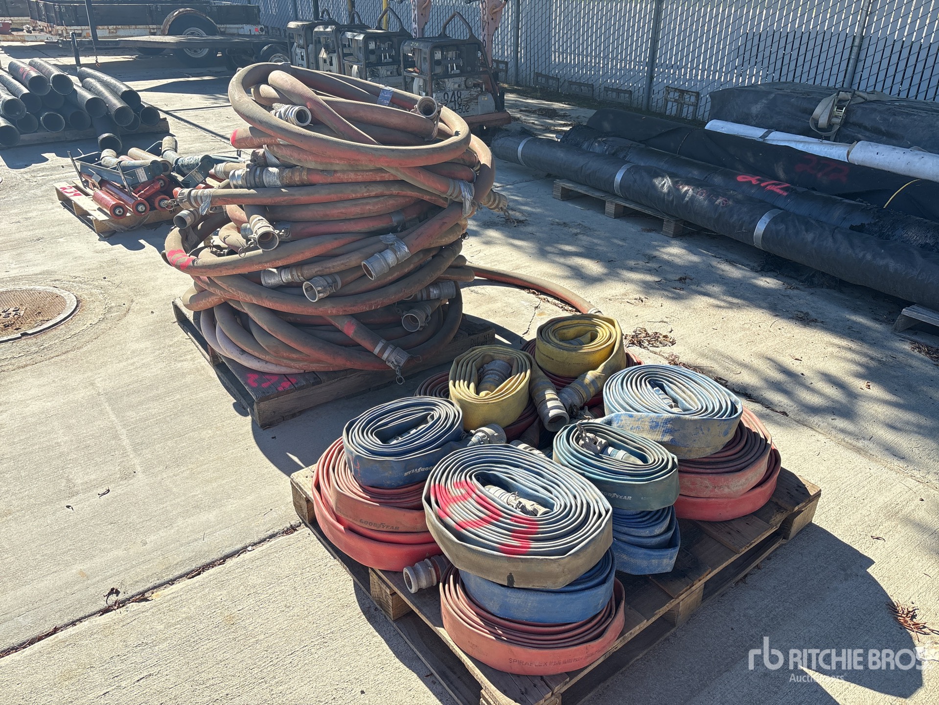 General Appearance with Bild, Ecke vorne links