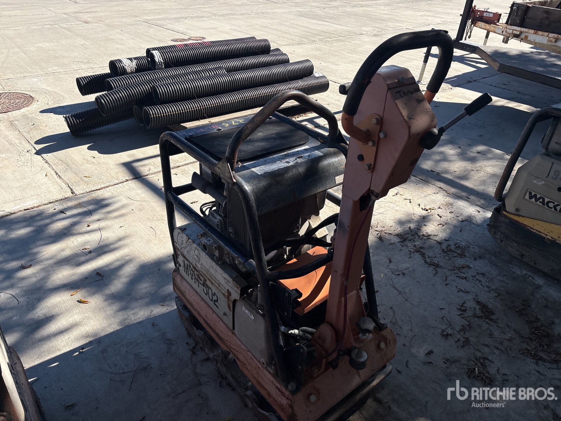 General Appearance with Zdjęcie, lewy dolny róg