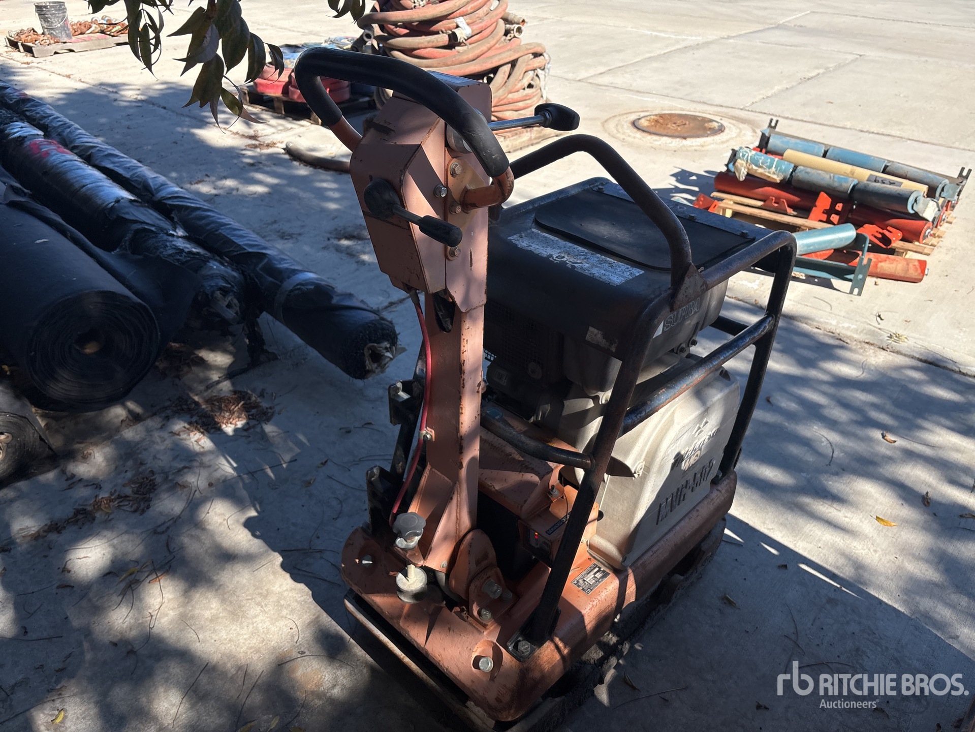 General Appearance with Zdjęcie, prawy dolny róg