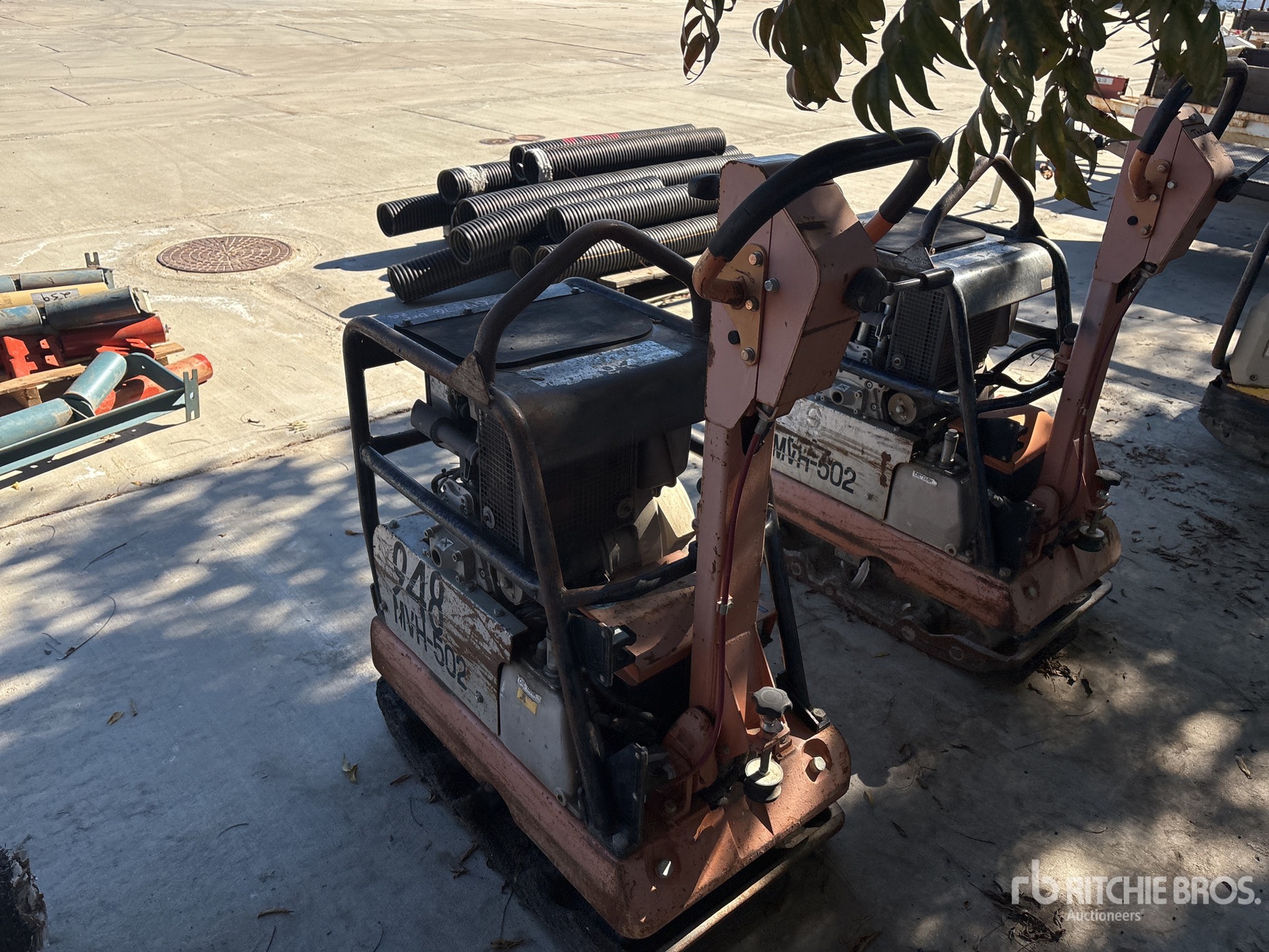 General Appearance with Zdjęcie, lewy dolny róg