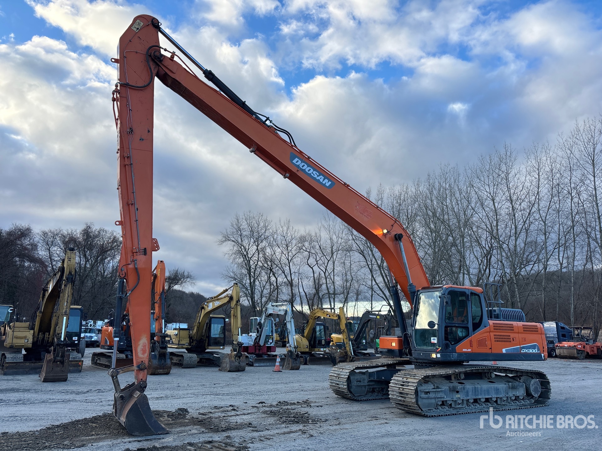 General Appearance with Spin