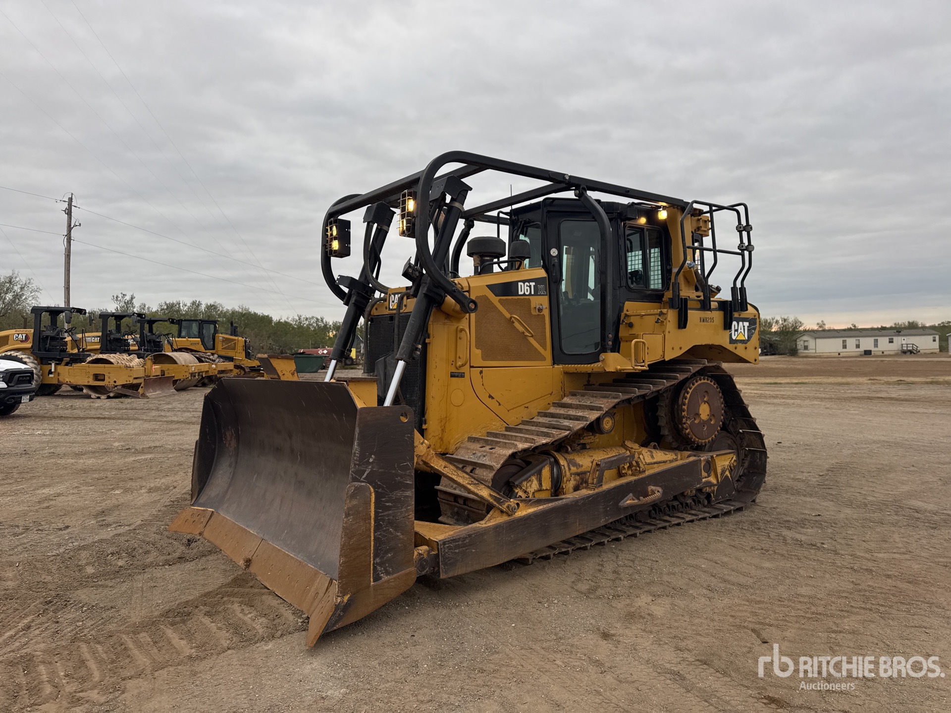 General Appearance with Spin