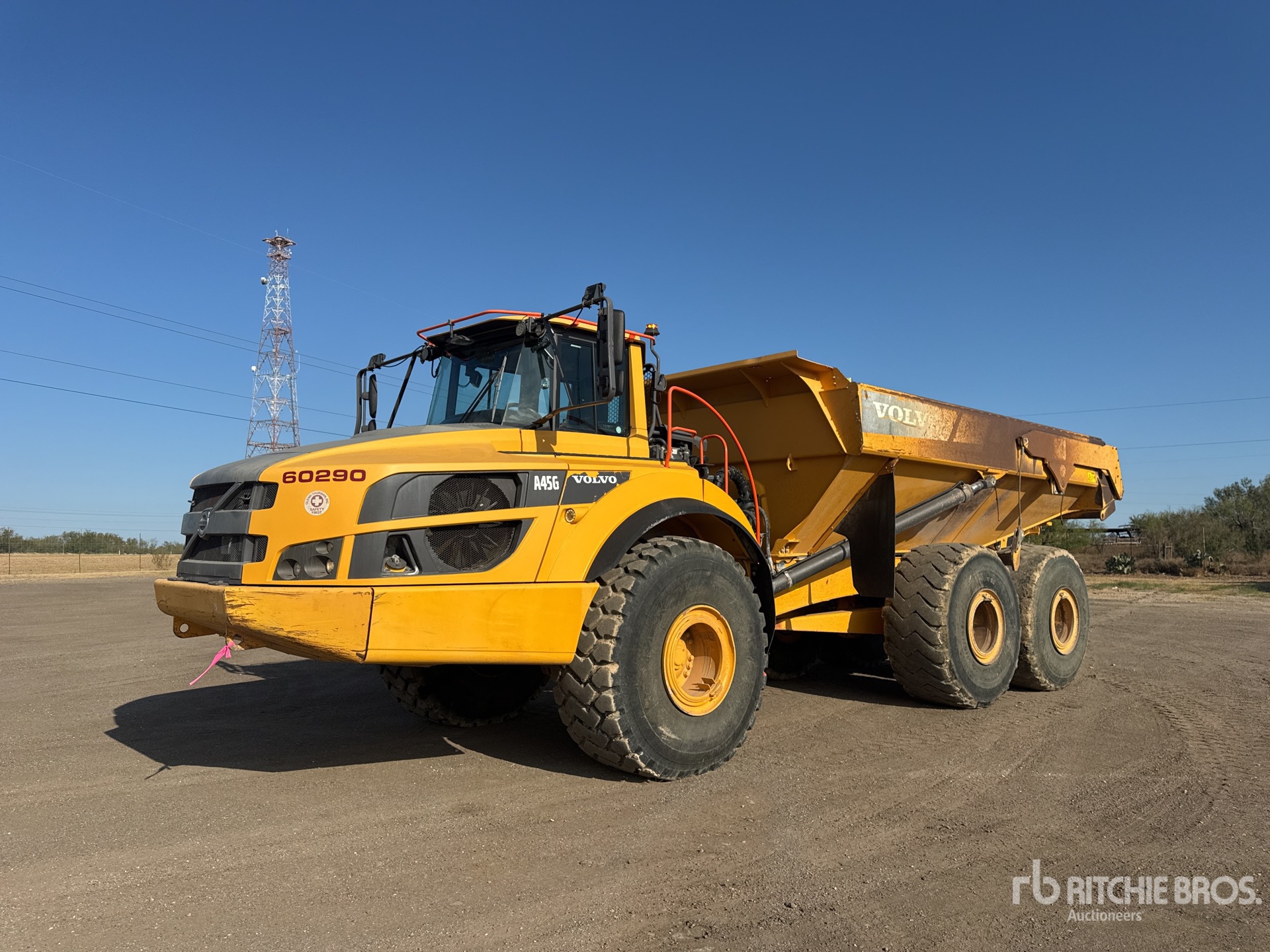 General Appearance with Spin