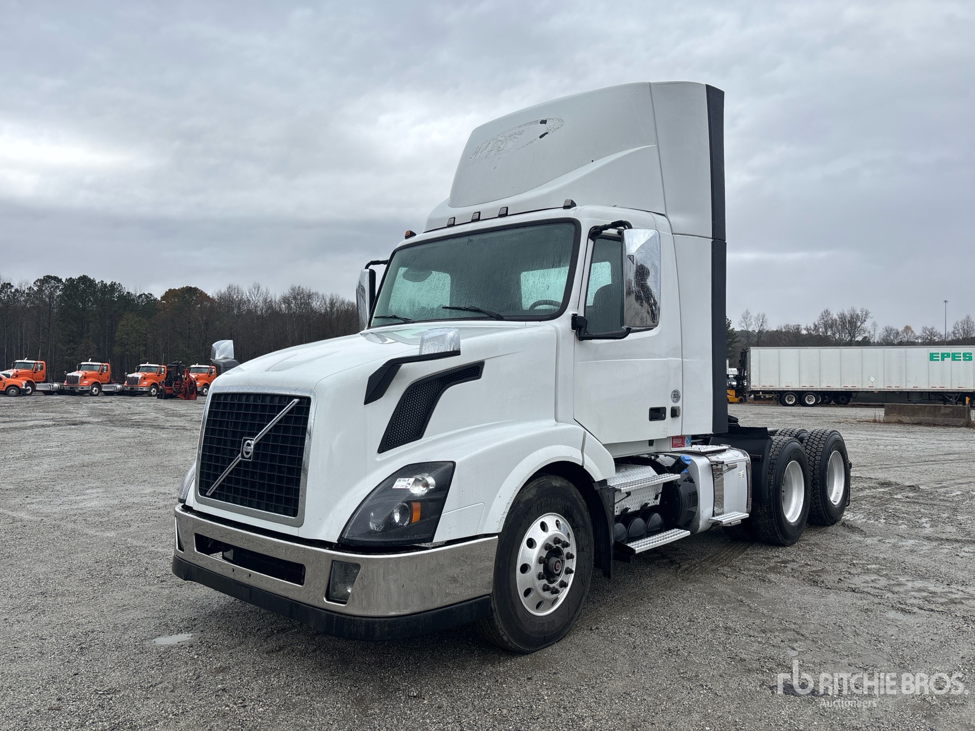 General Appearance with Spin