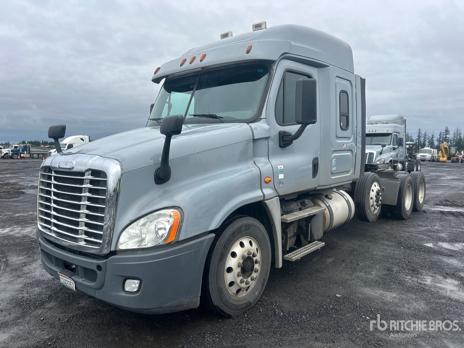 General Appearance with Spin