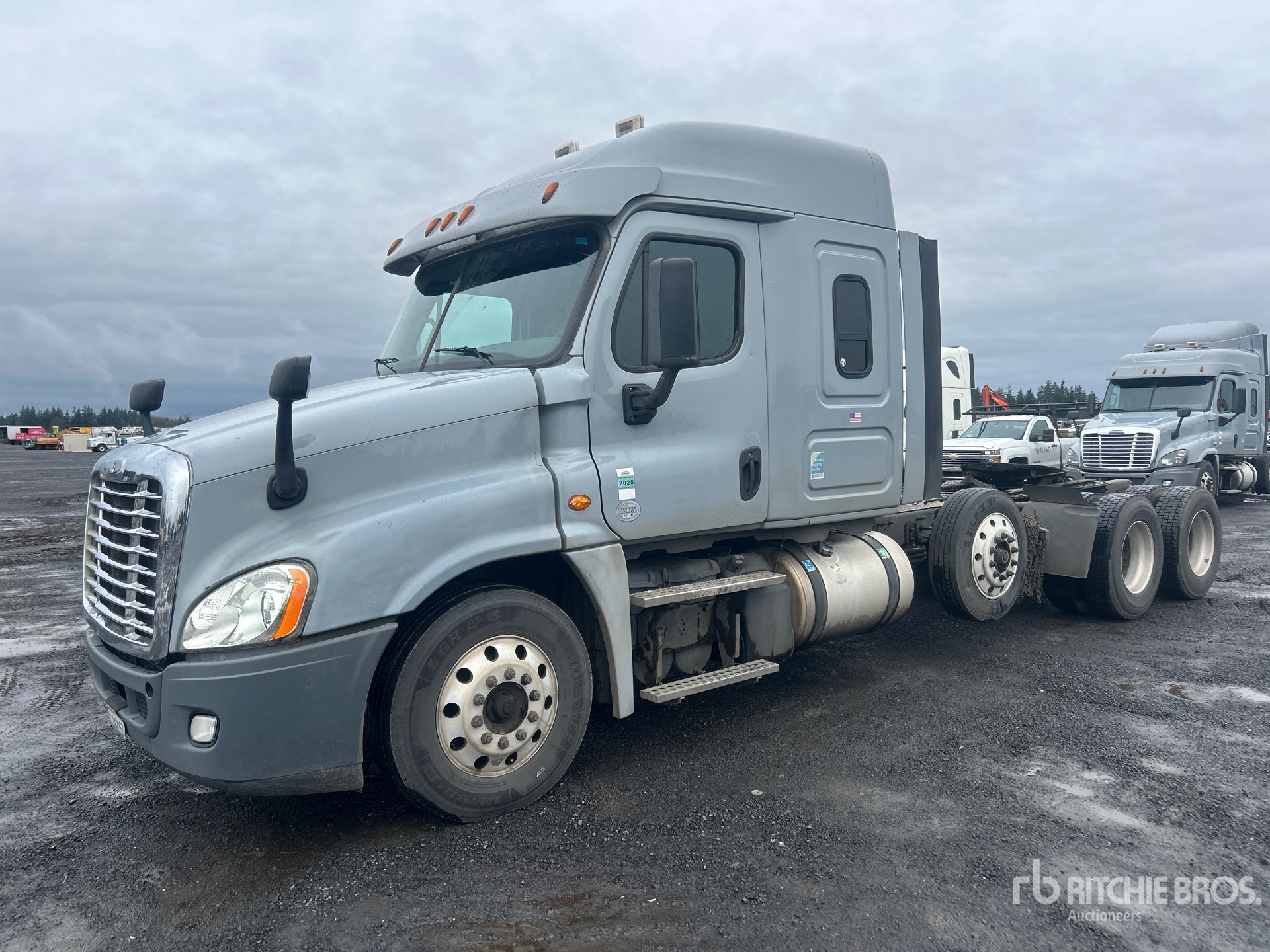 General Appearance with Spin