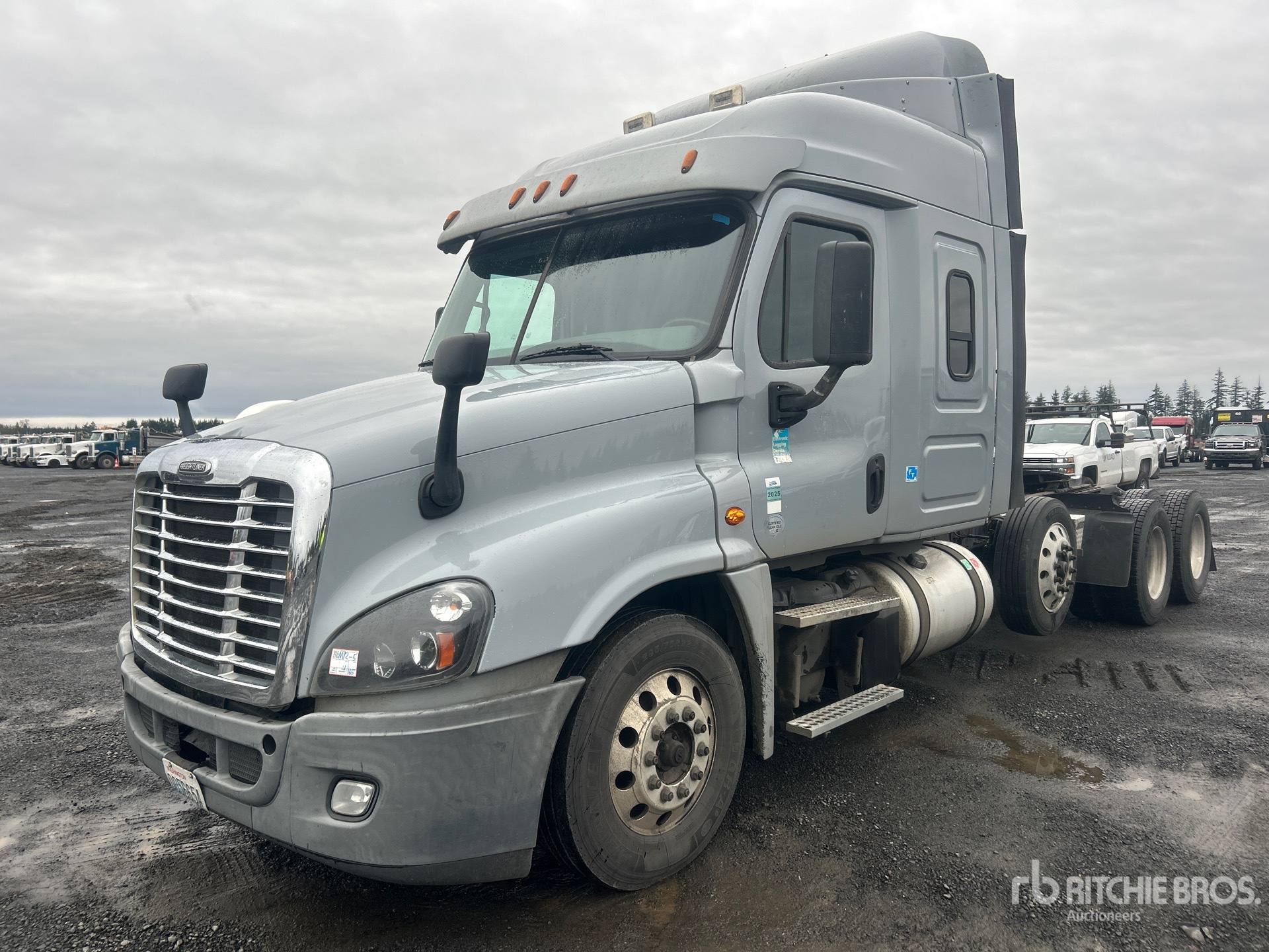 General Appearance with Spin