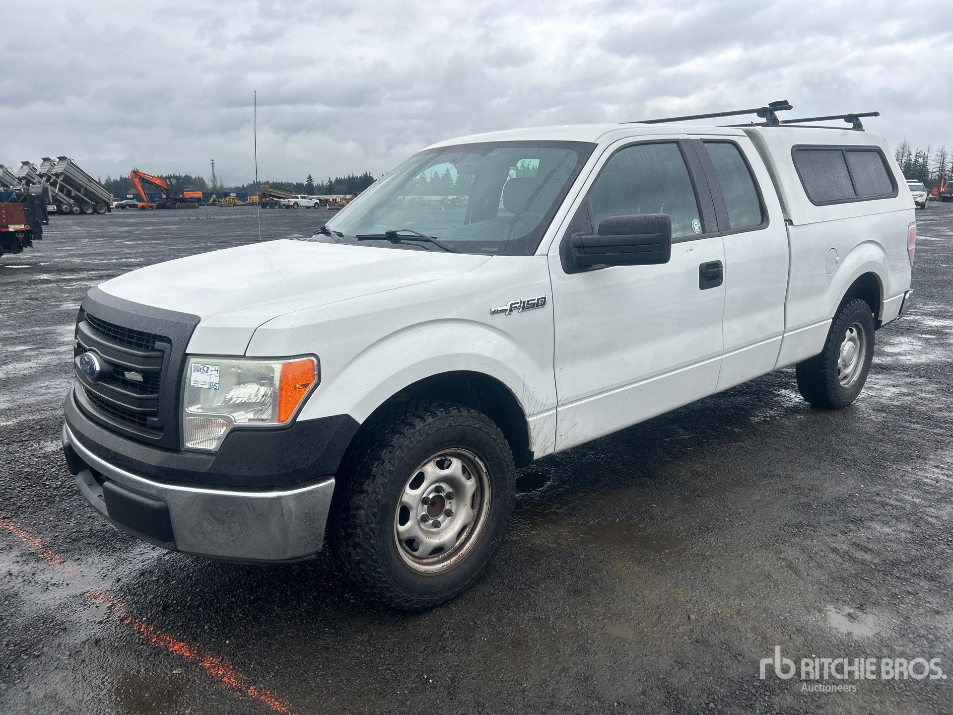 General Appearance with Spin