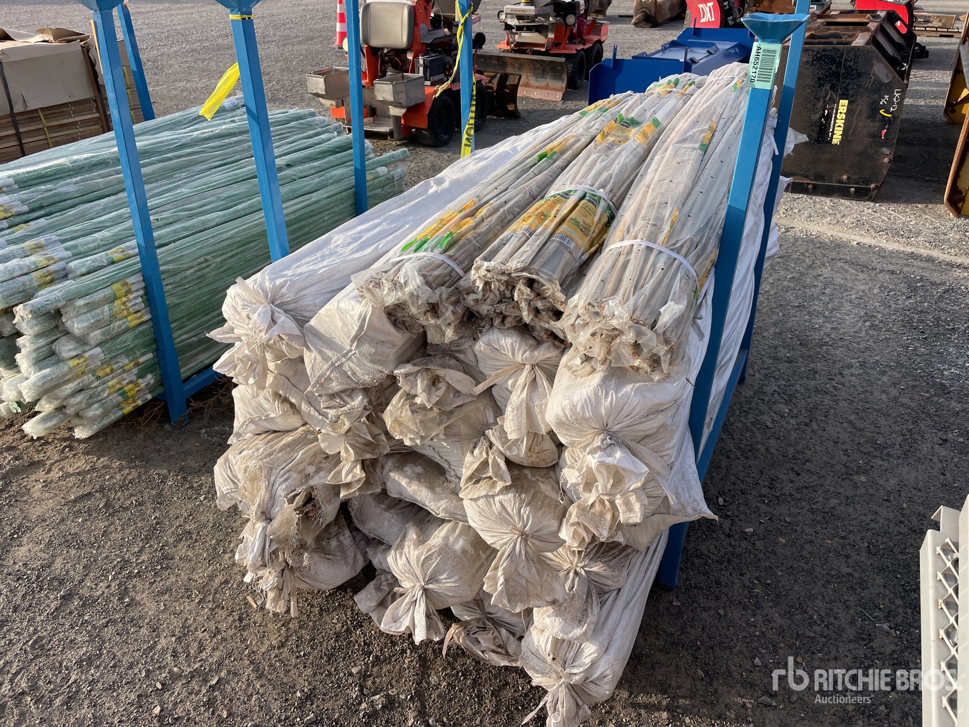 General Appearance with Imagen: esquina trasera izquierda