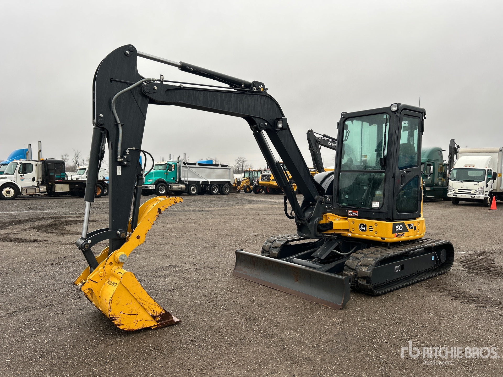 General Appearance with Spin