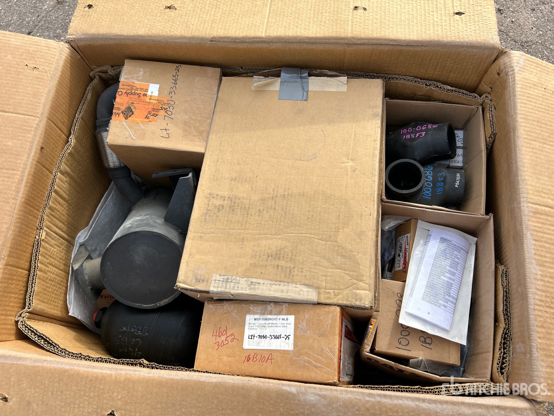 General Appearance with 