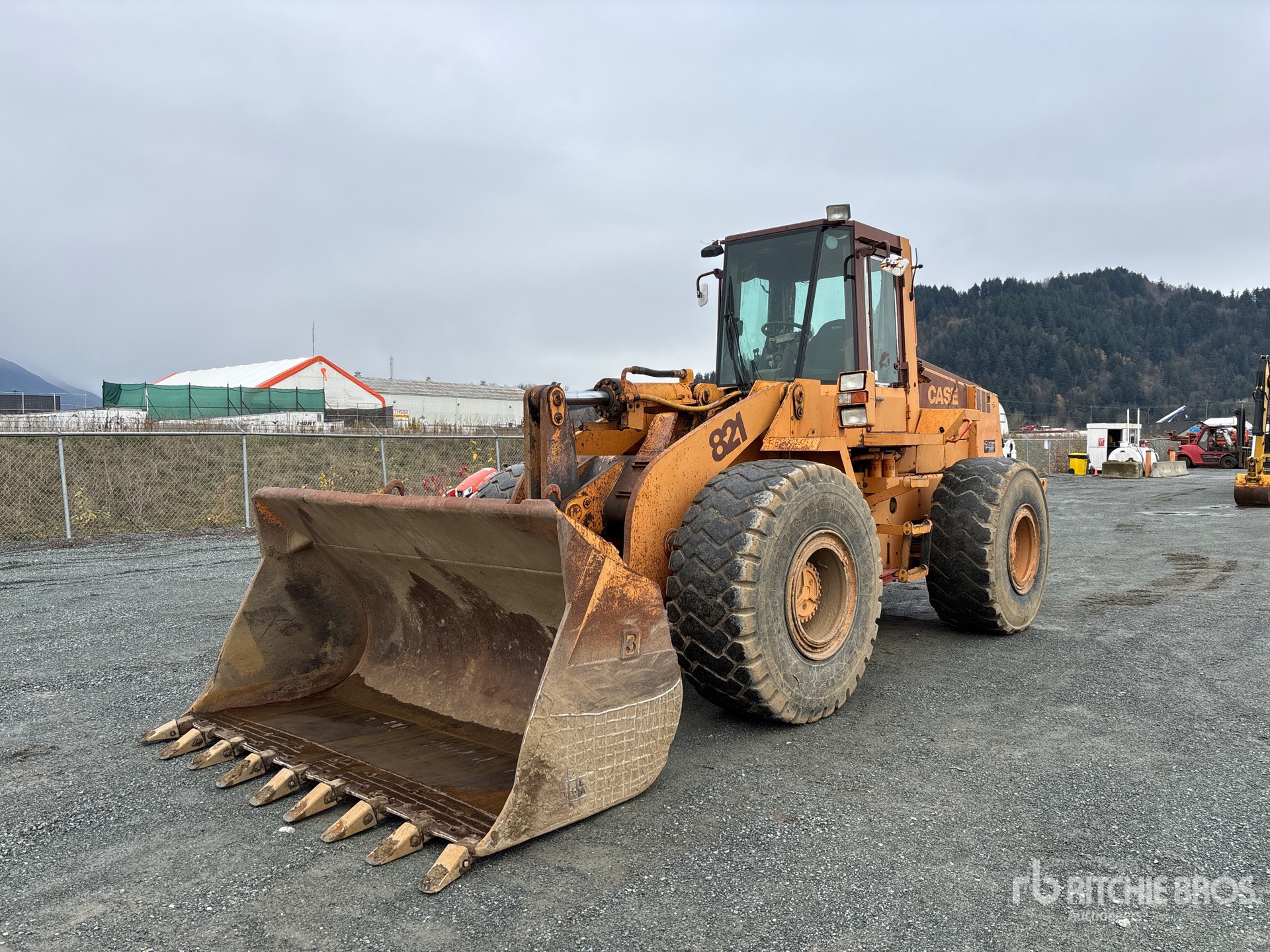 General Appearance with Spin