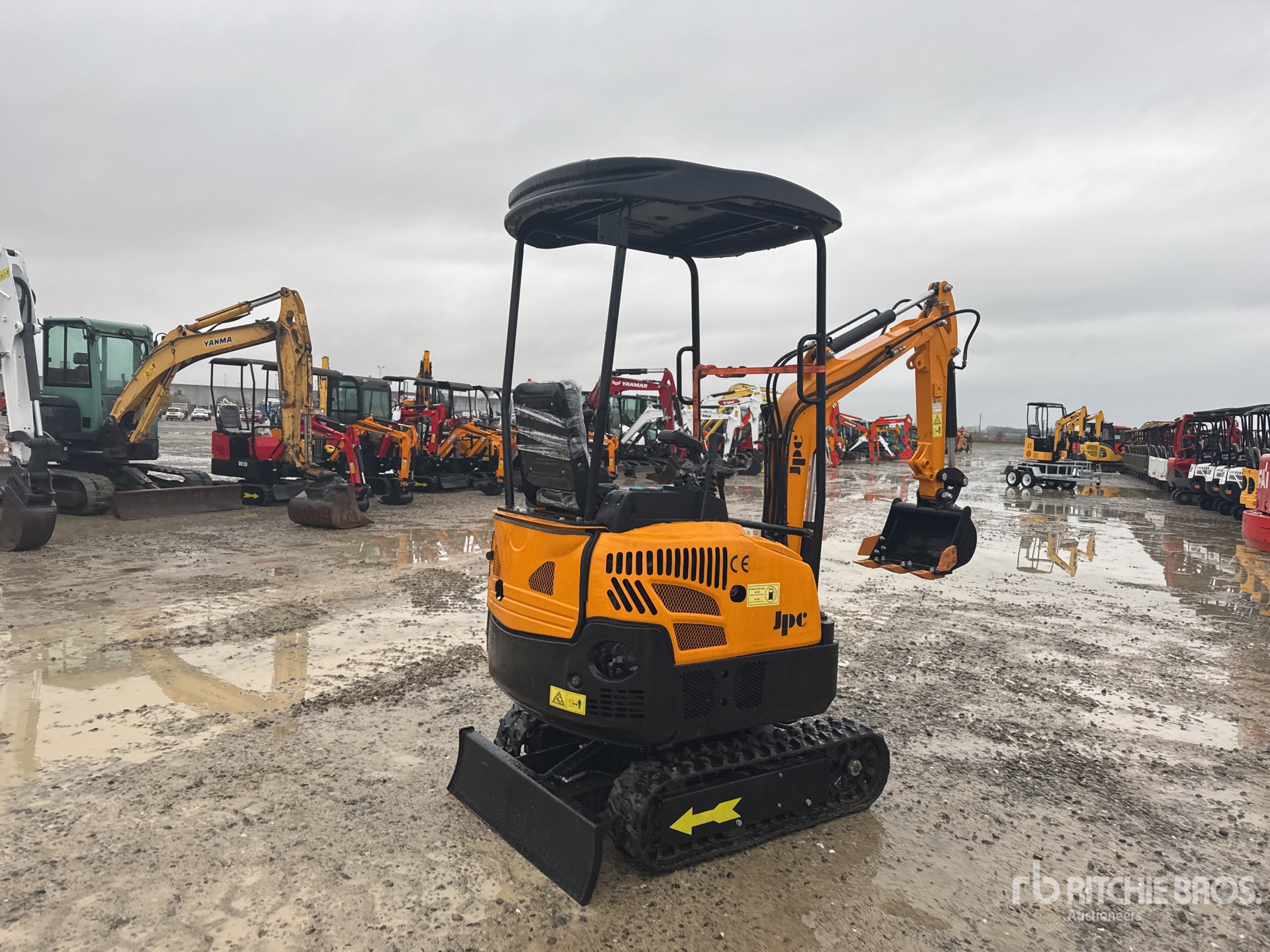 General Appearance with 