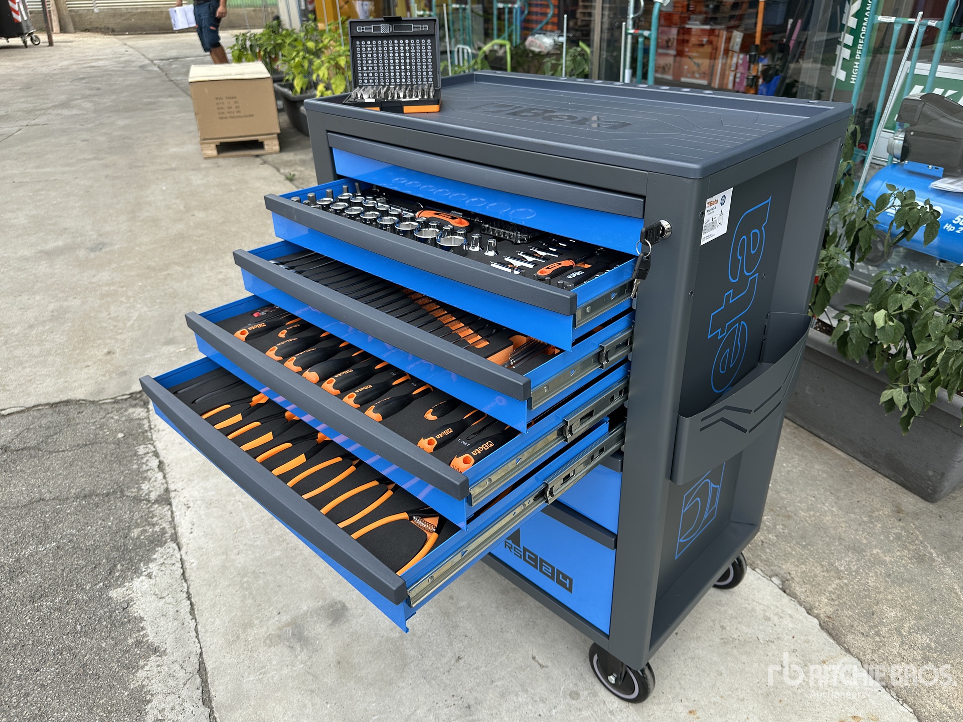 General Appearance with 