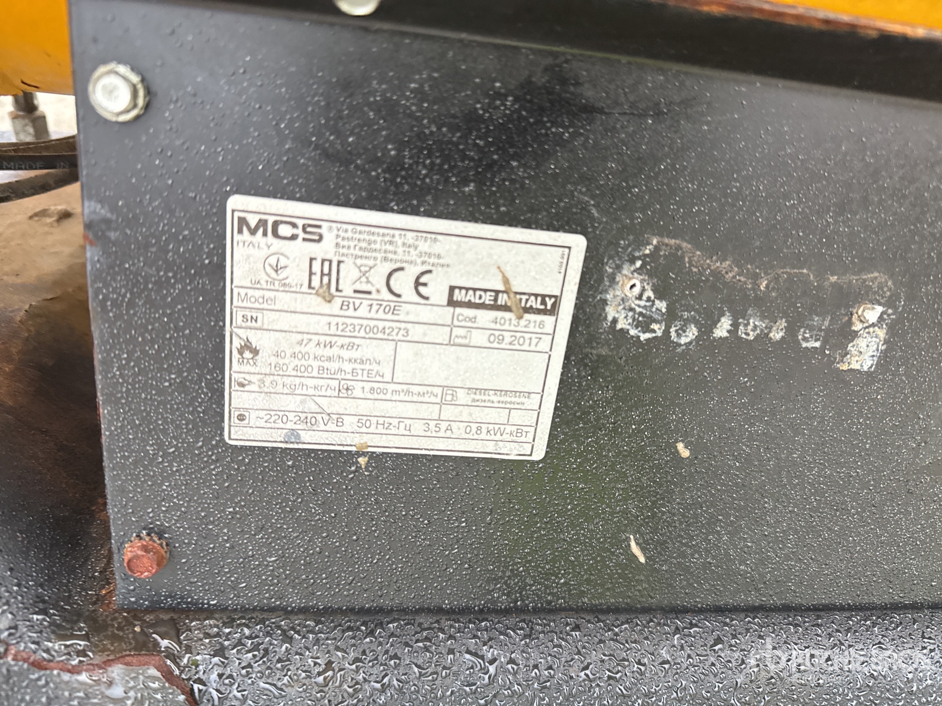 General Appearance with 