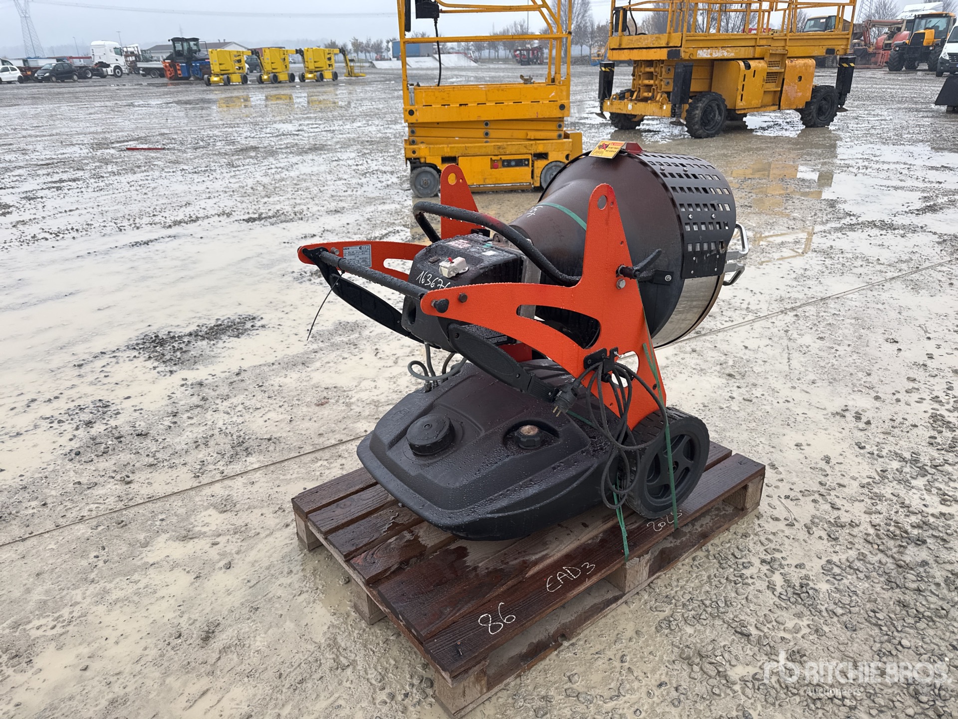 General Appearance with 