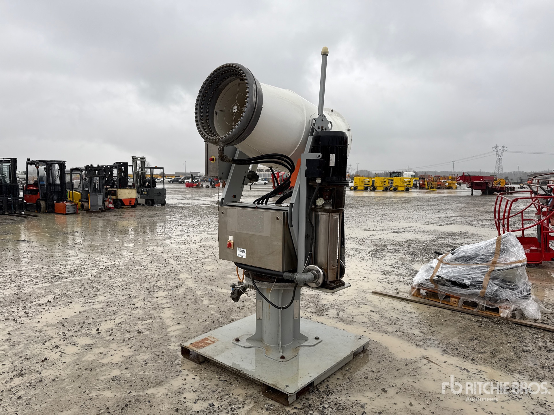 General Appearance with 