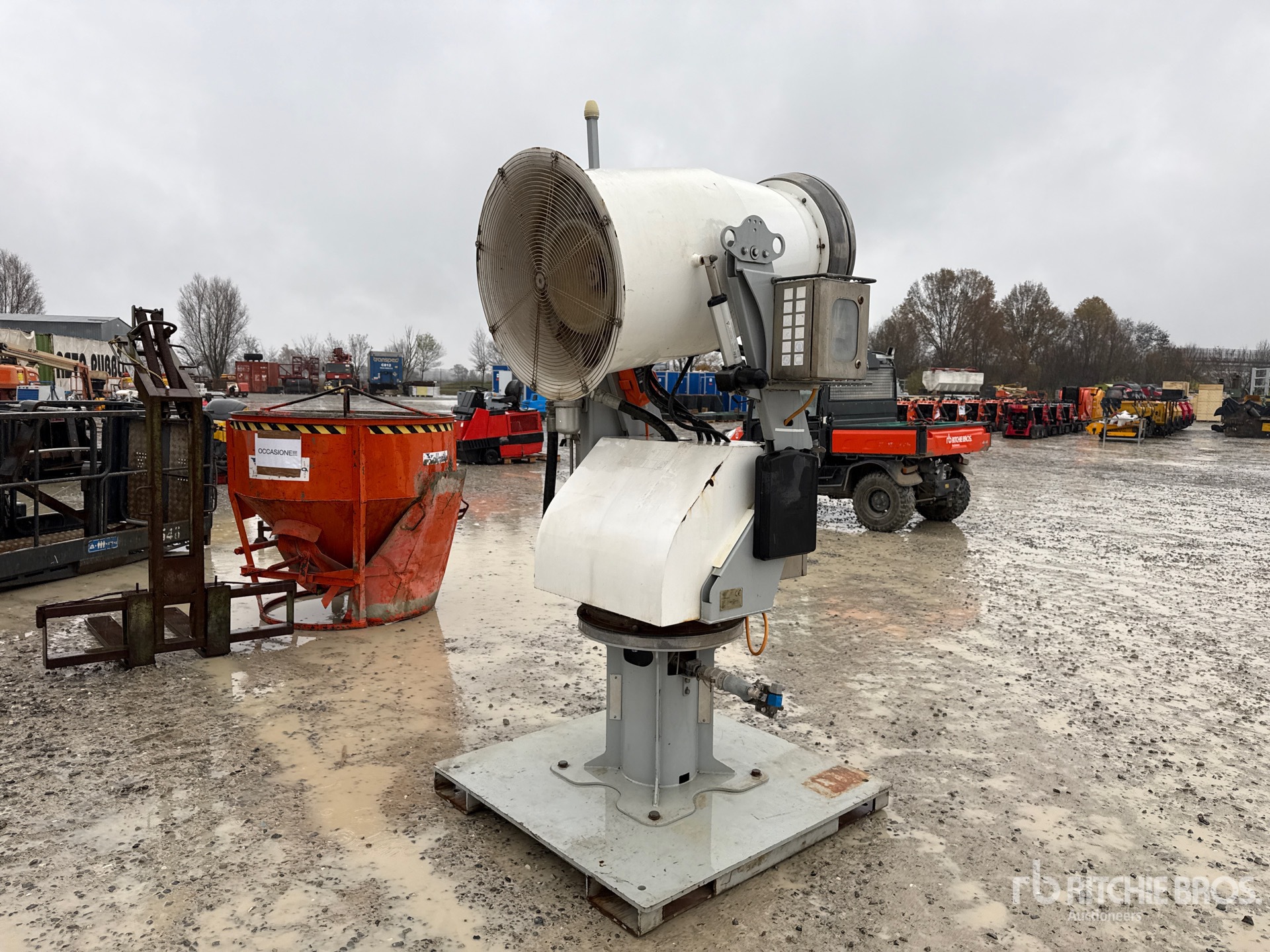 General Appearance with 