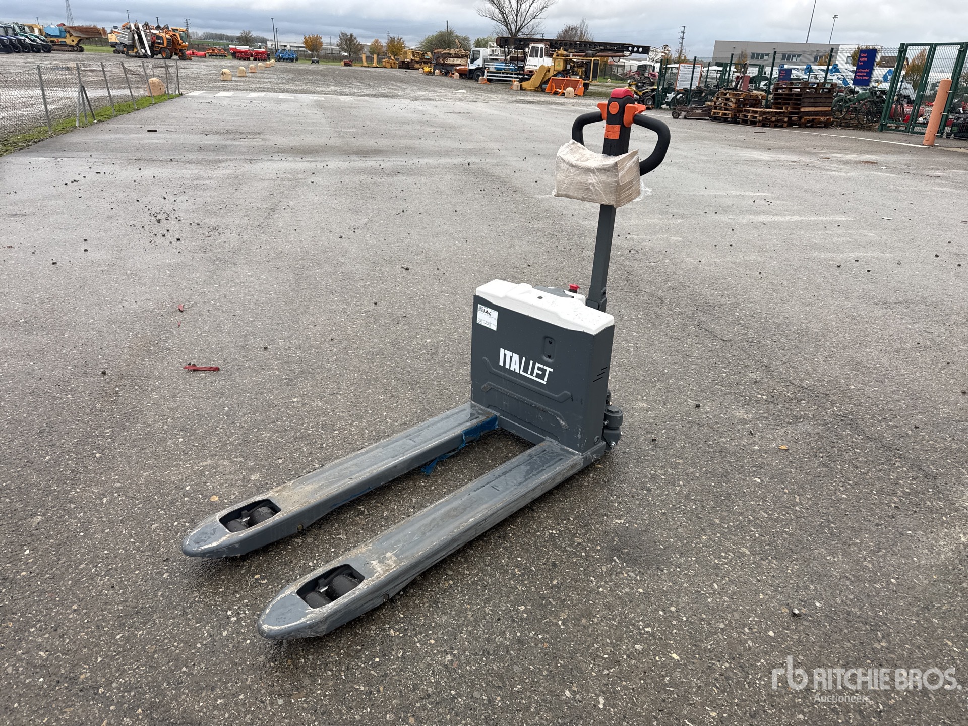 General Appearance with 