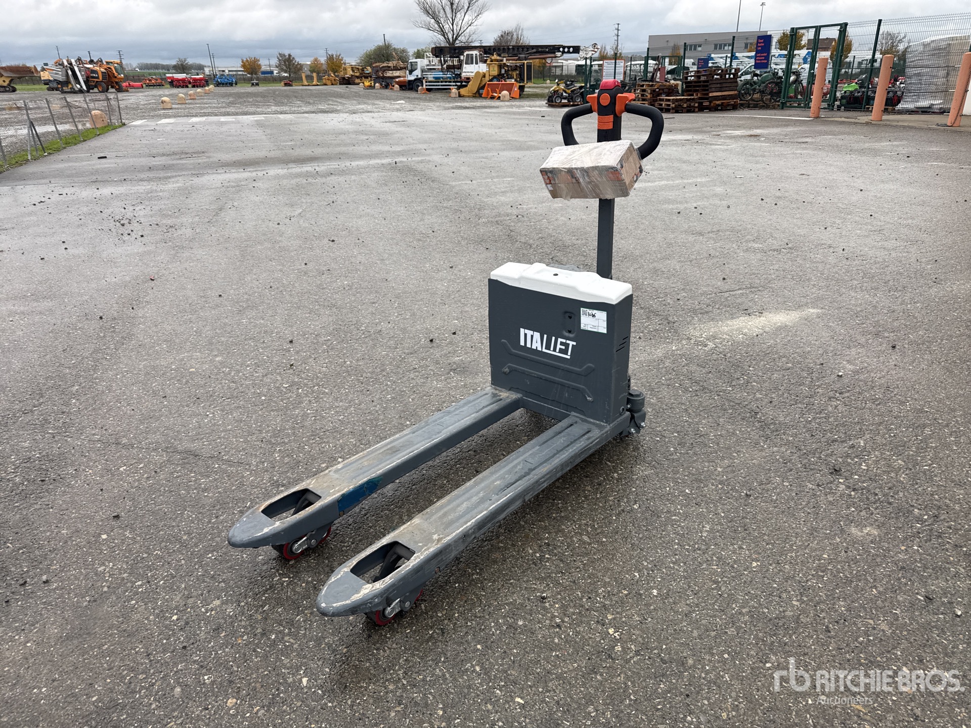 General Appearance with 