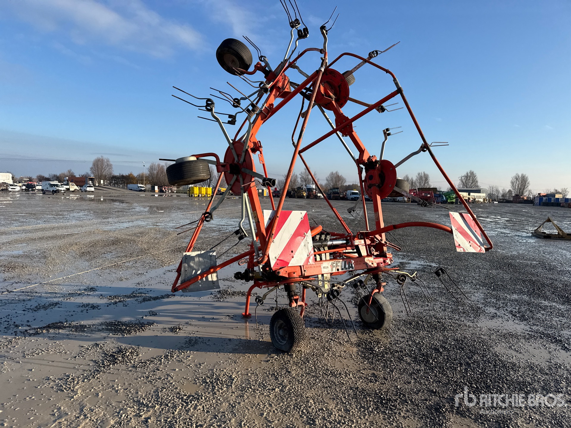 General Appearance with 