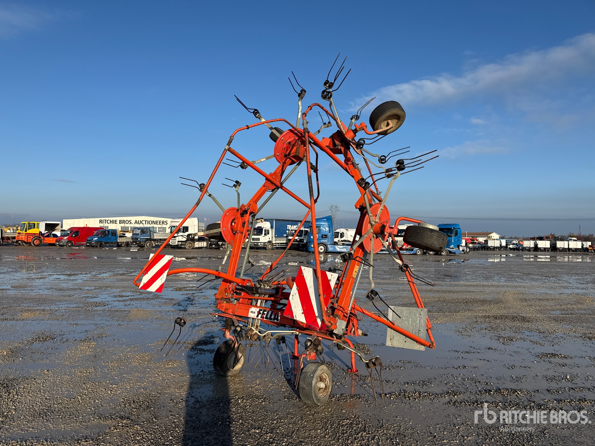 General Appearance with 