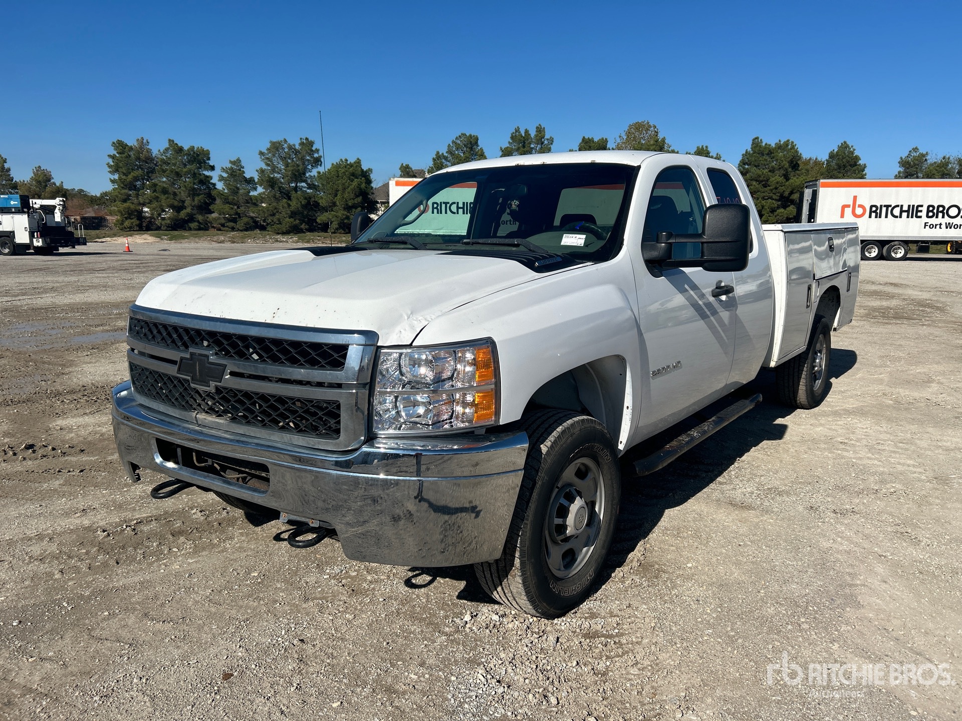 General Appearance with Spin