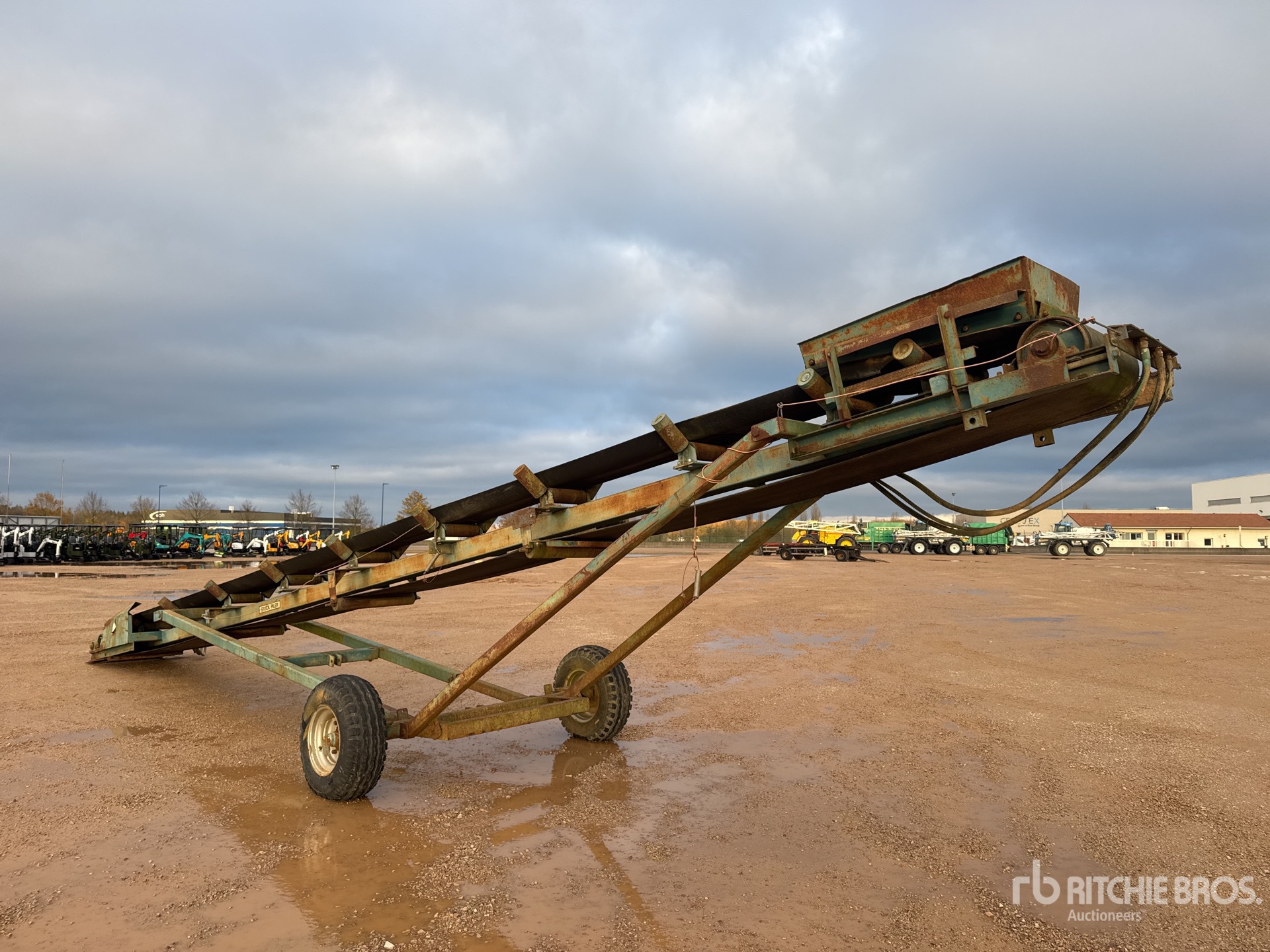 General Appearance with 