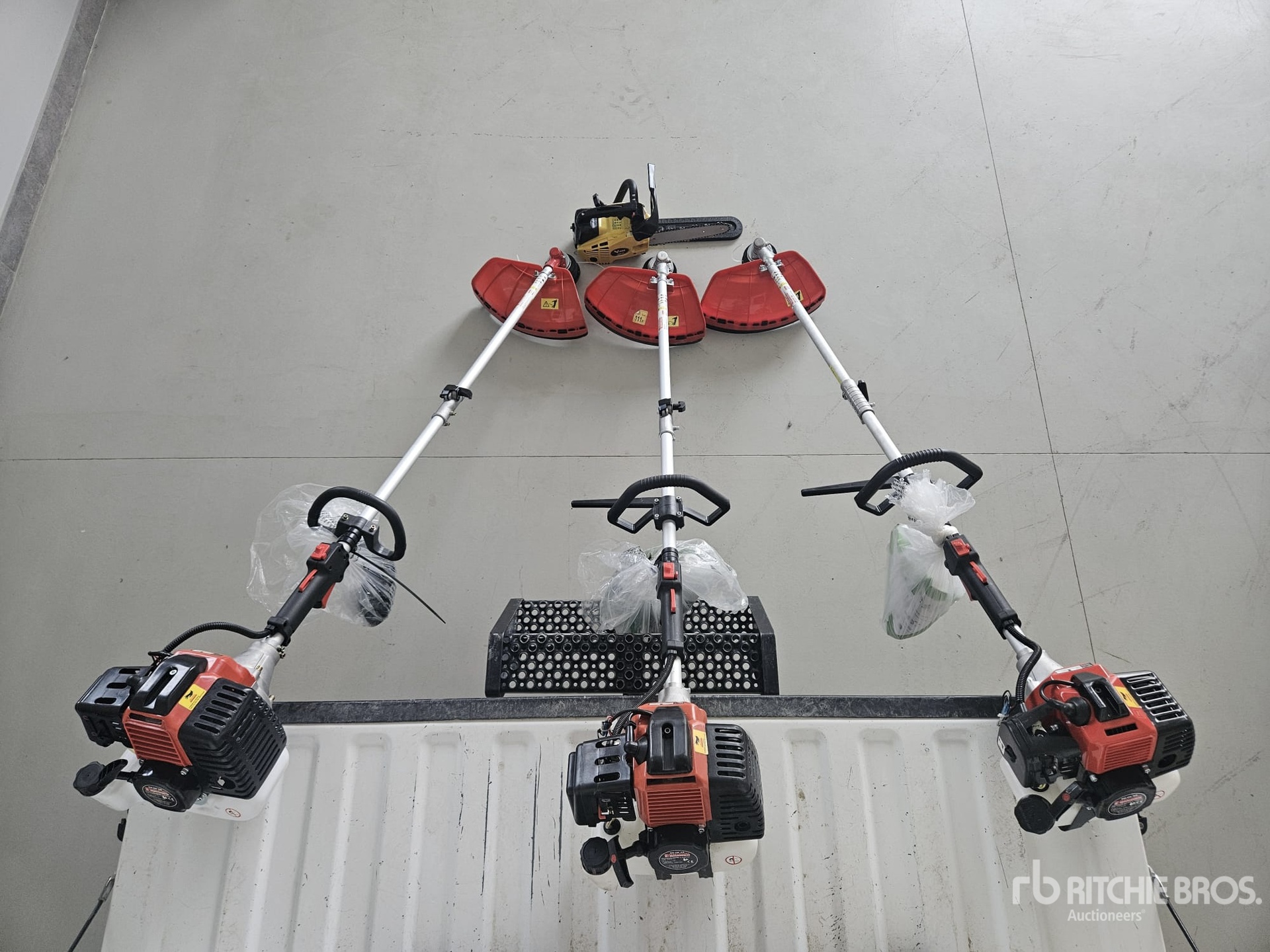 General Appearance with 