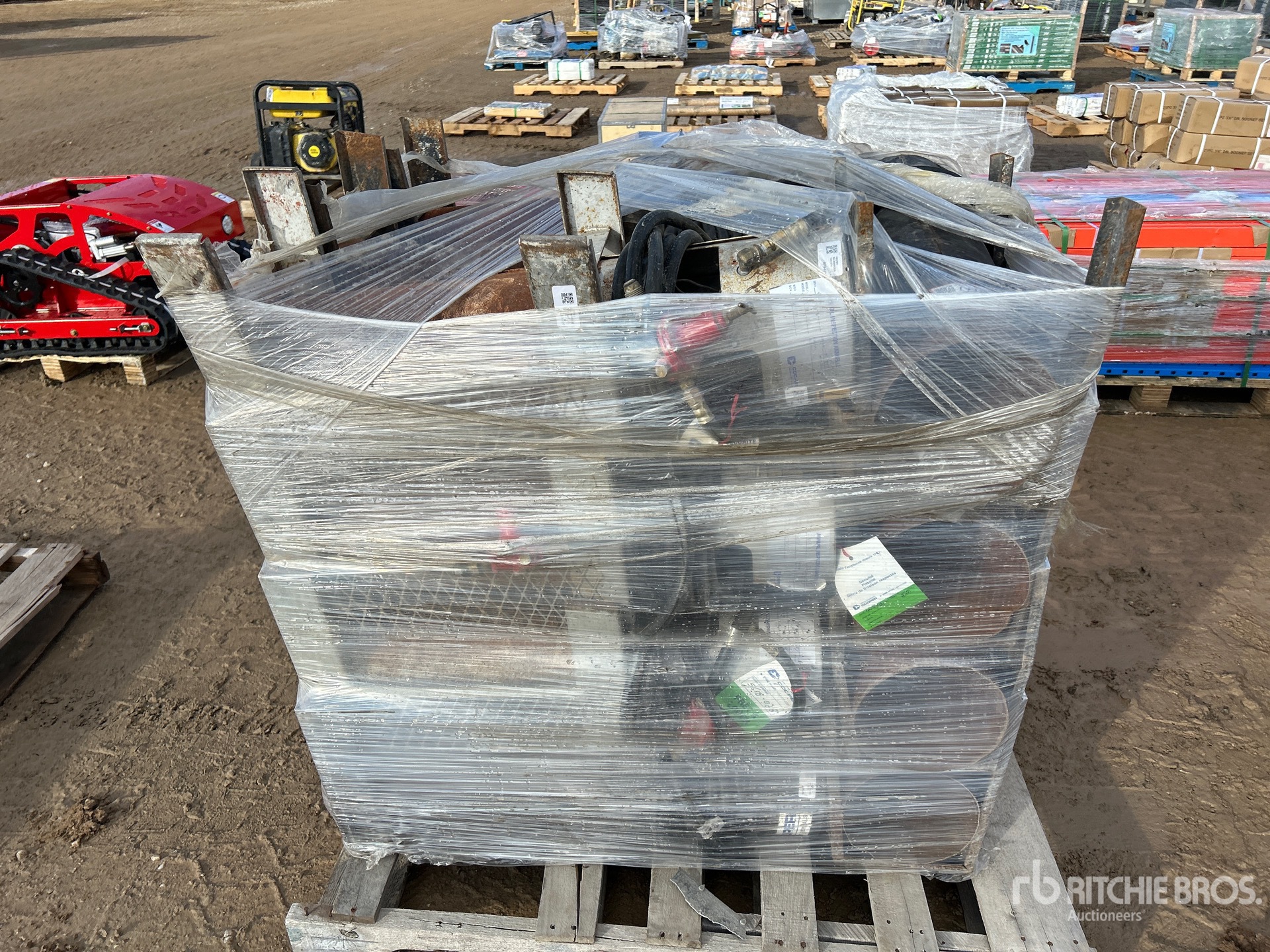 General Appearance with 