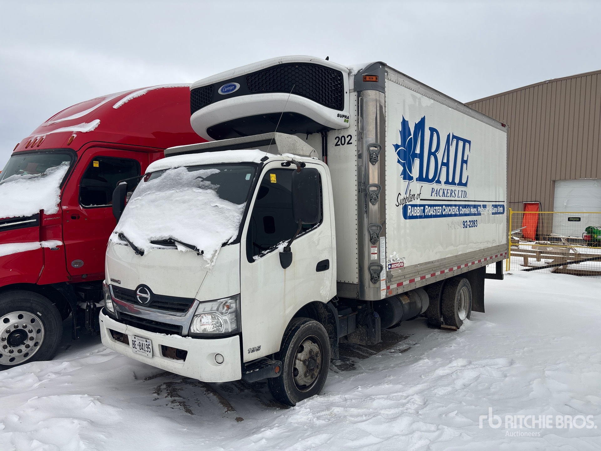 General Appearance with Featured Photo