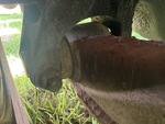Underbody with Bujes de Suspensión