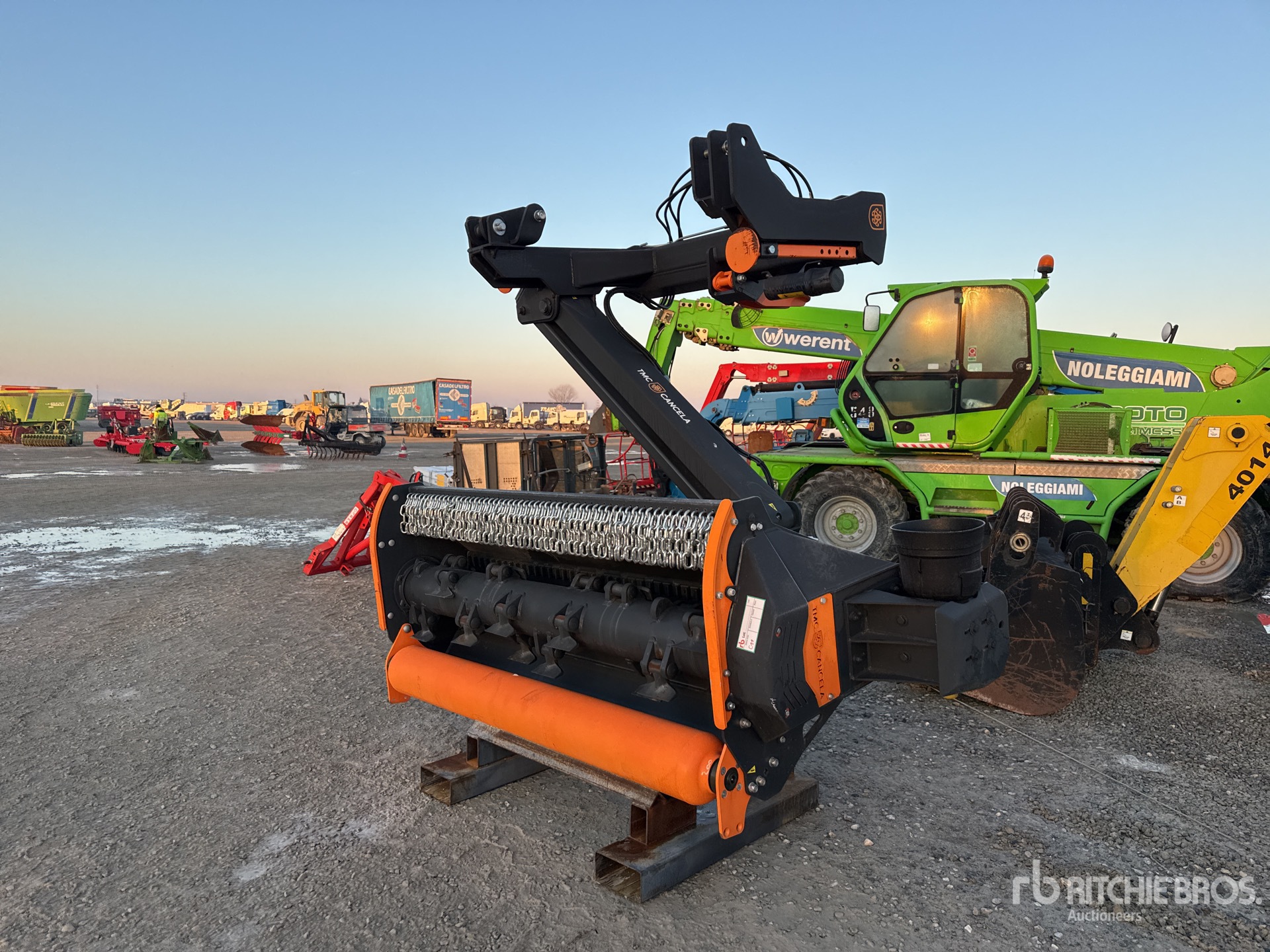 General Appearance with 