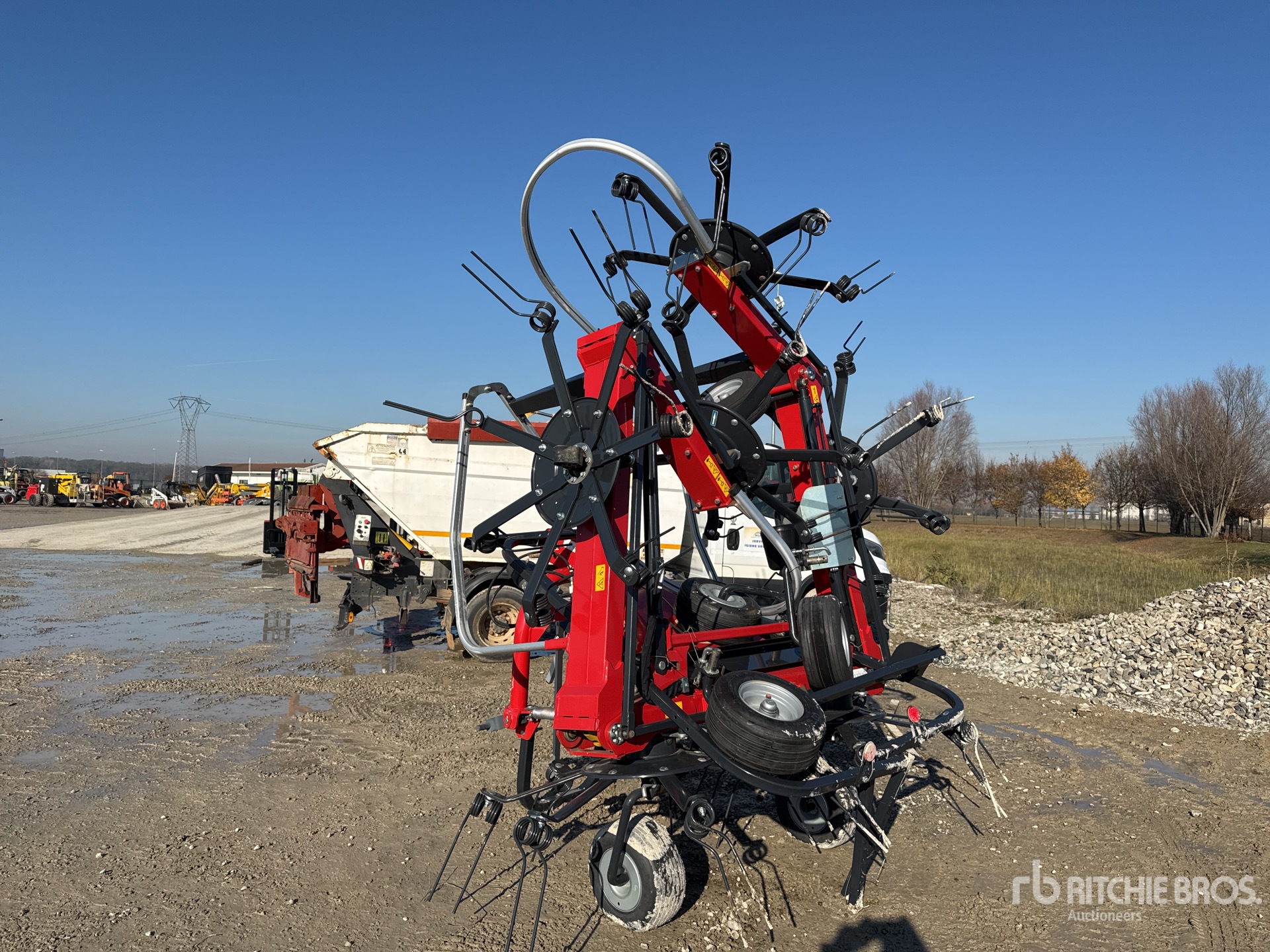 General Appearance with 