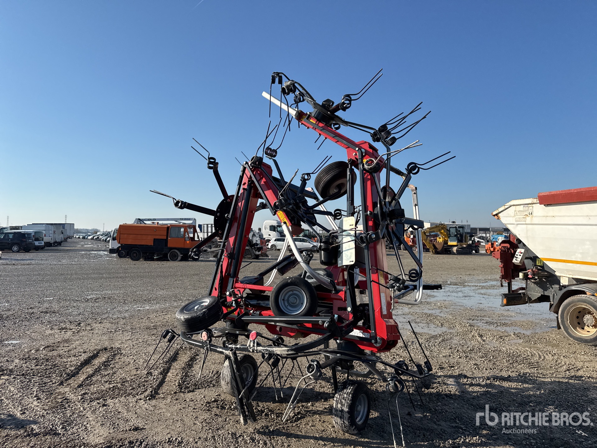 General Appearance with 