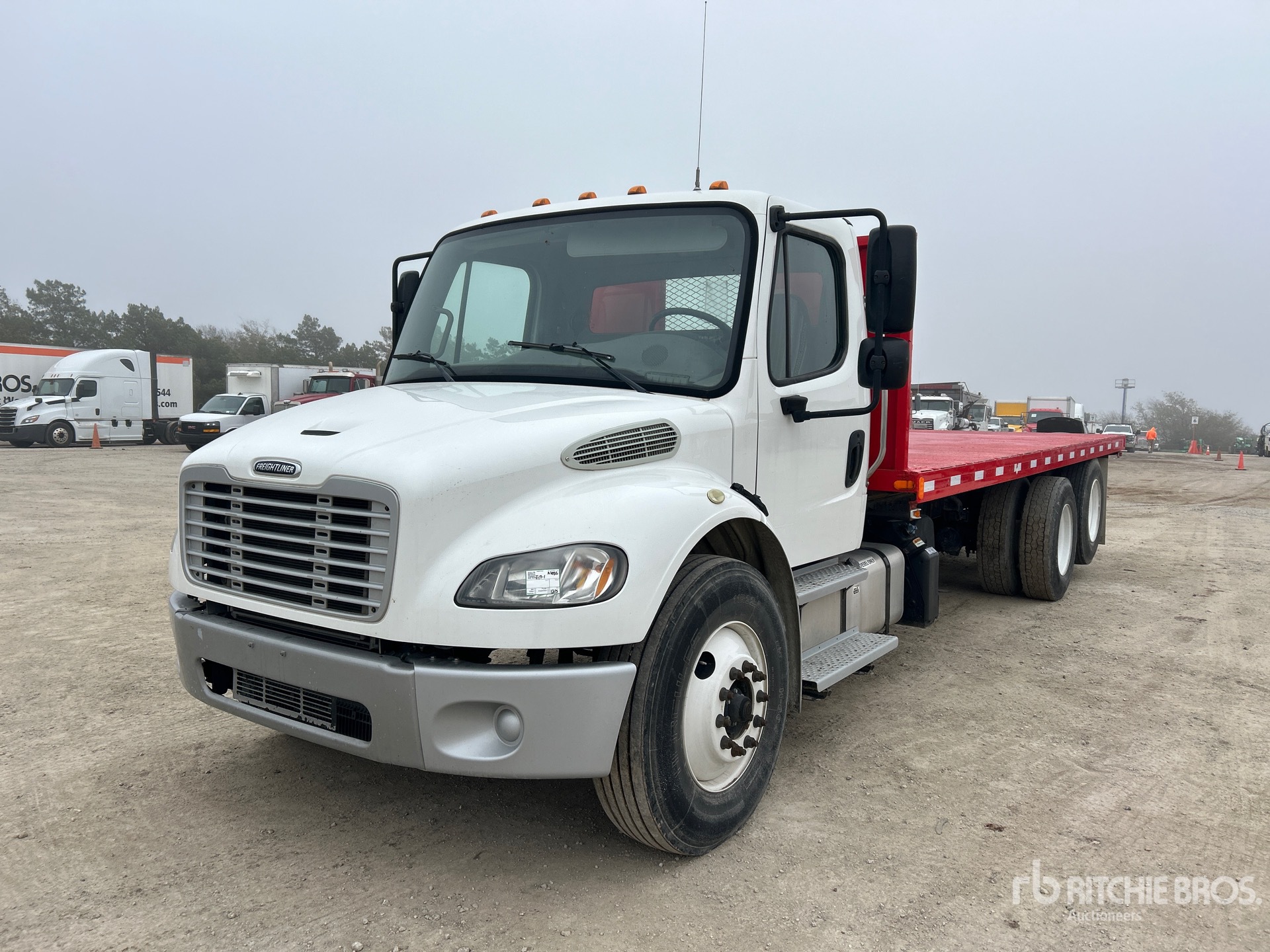 General Appearance with Bild, Ecke vorne links